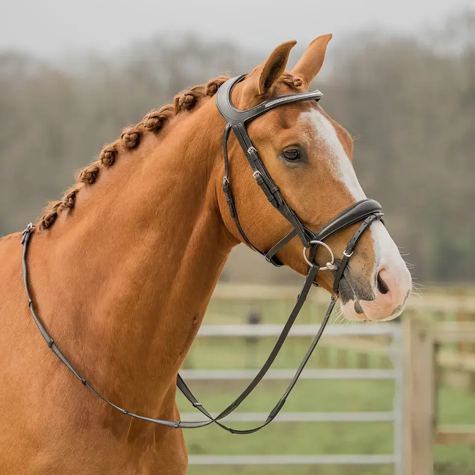 Horka Träns Crown - Svart