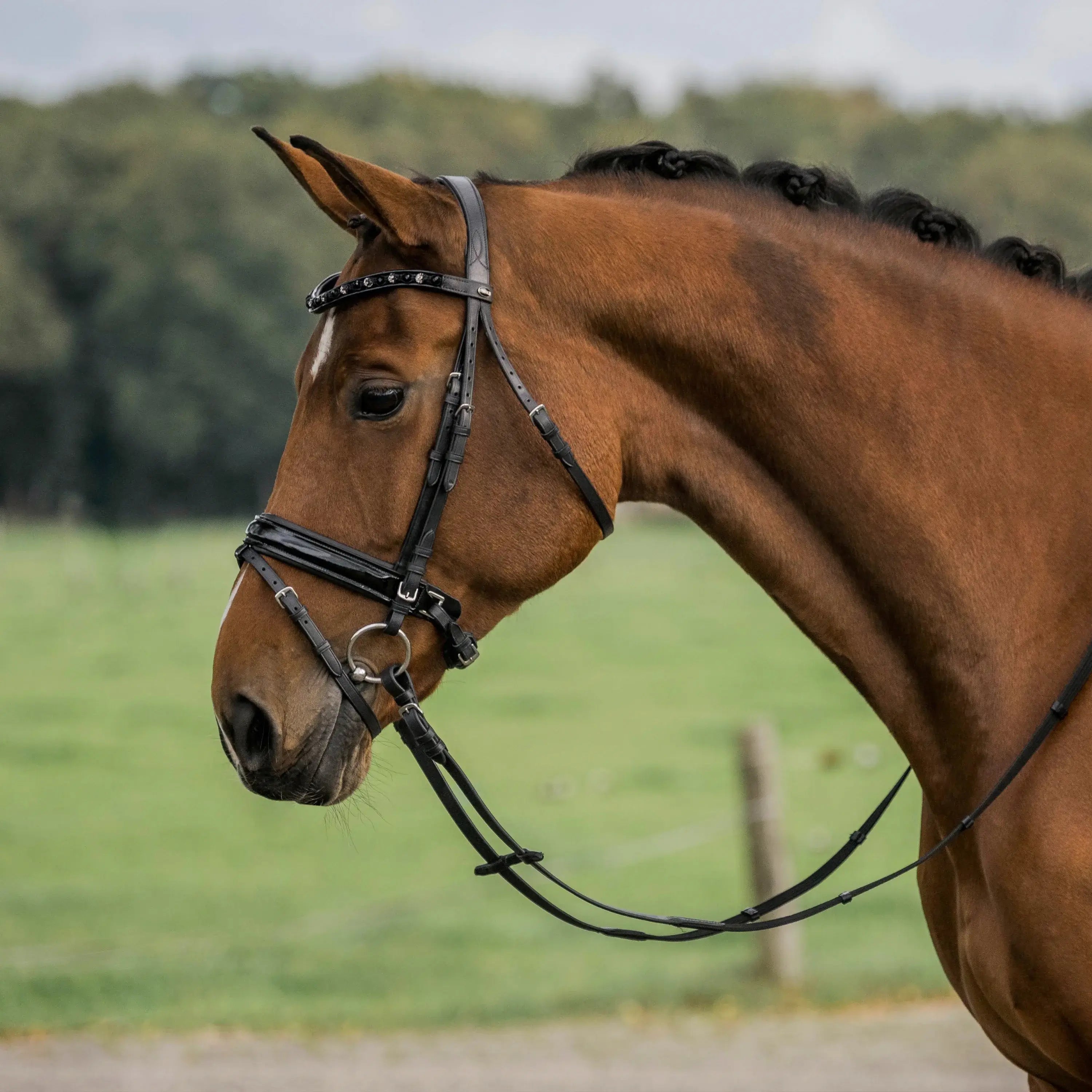 Horka Träns Flamingo - Svart