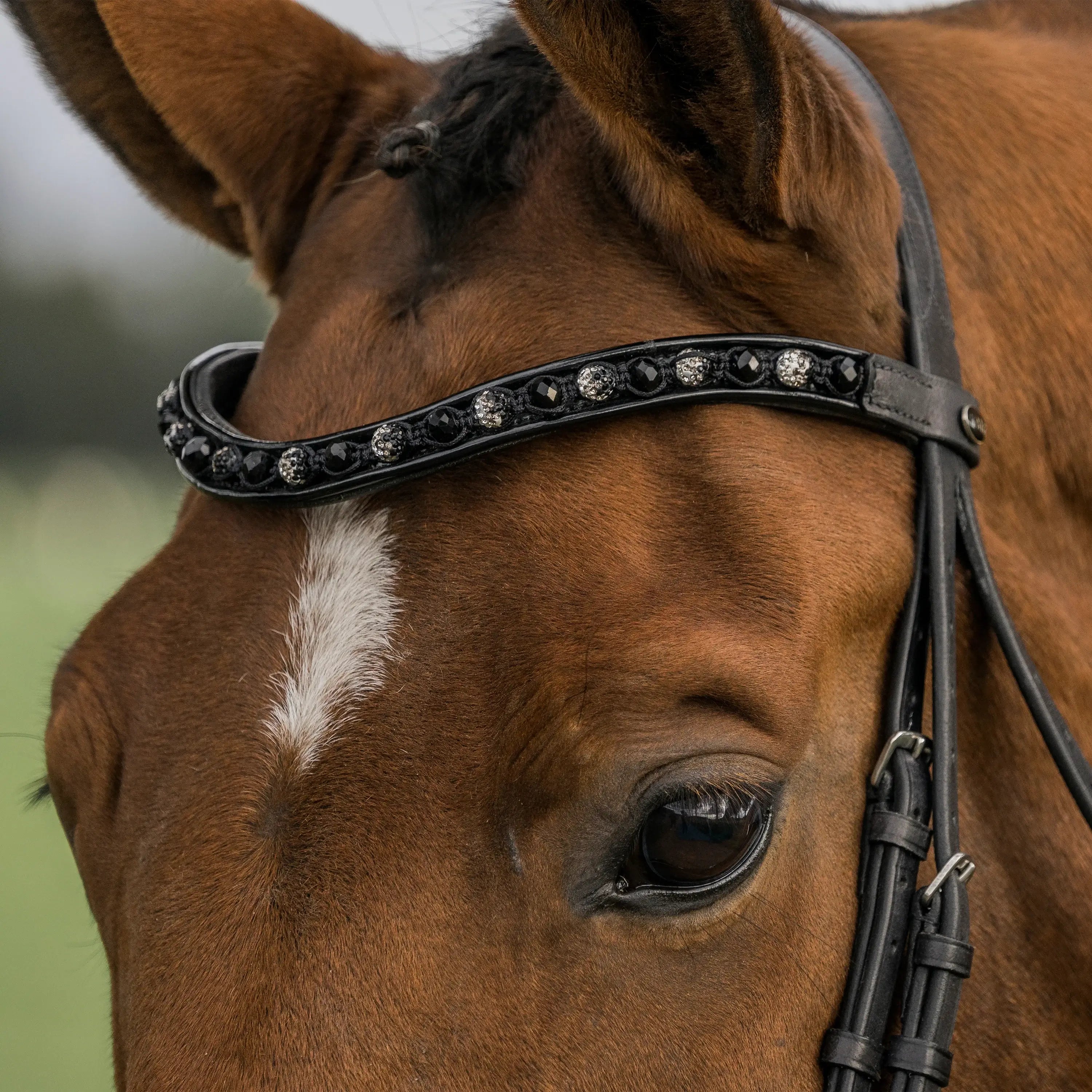 Horka Träns Flamingo - Svart