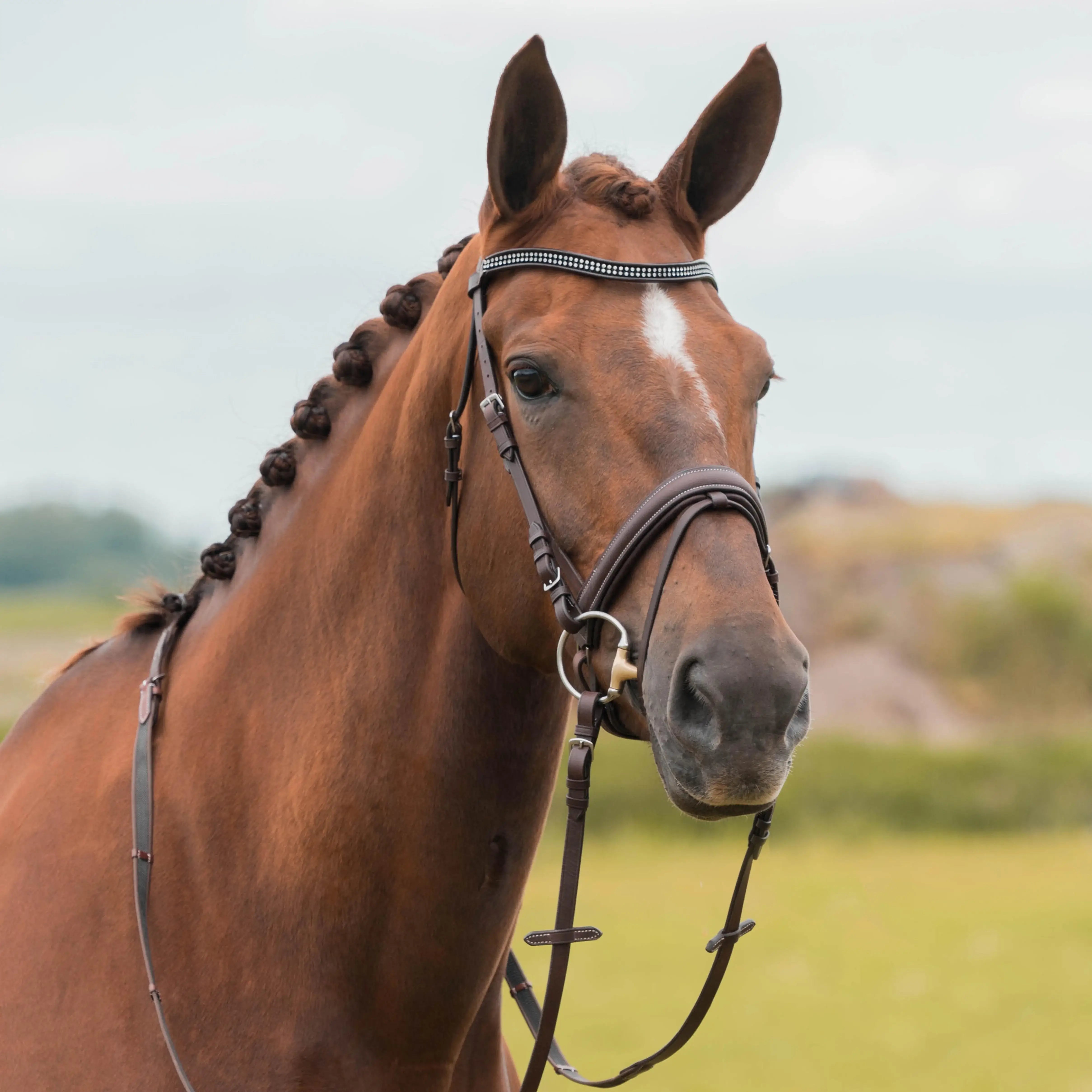 Horka Träns Nikki - Brun/Silver