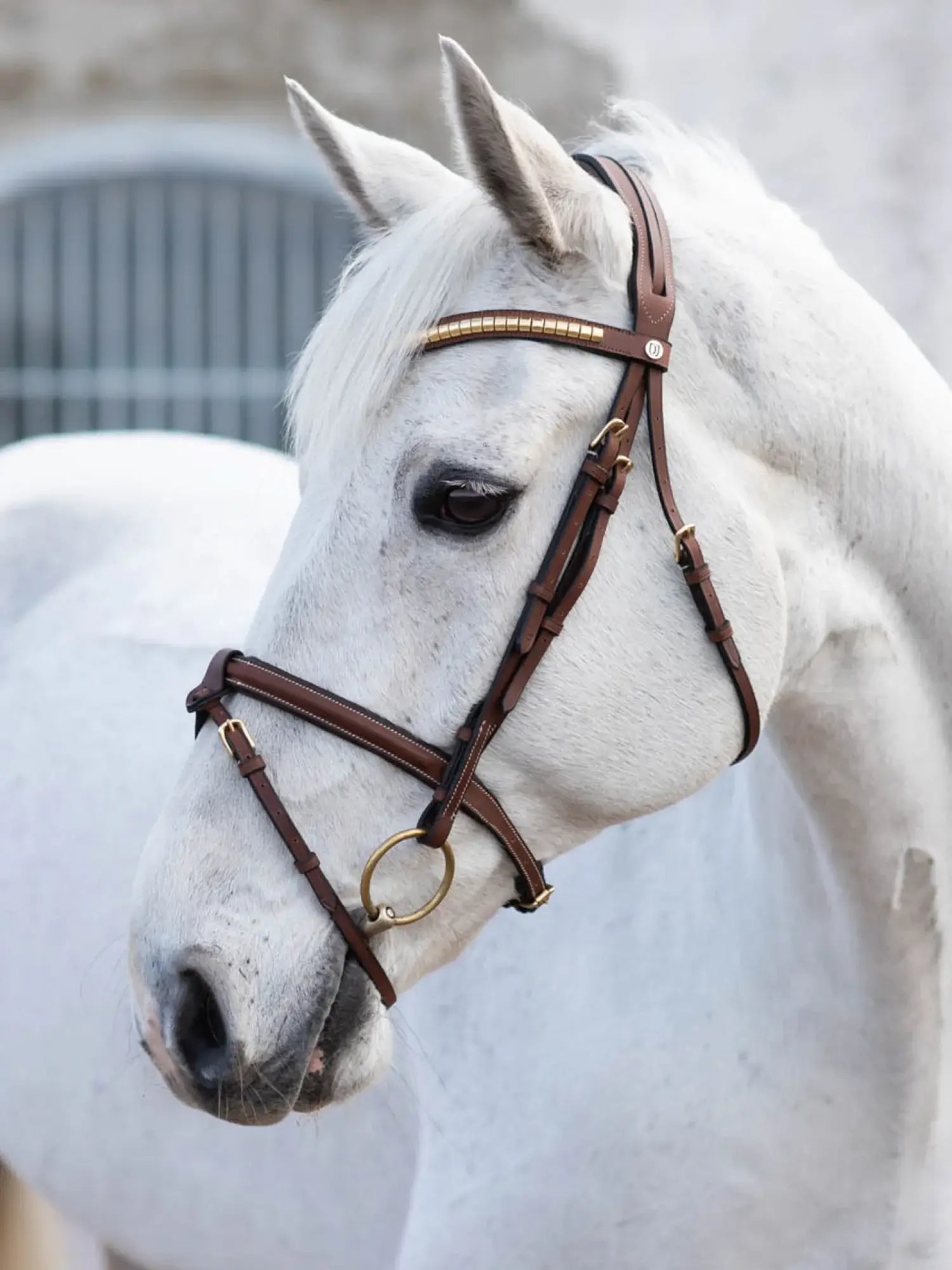 Jacson California Aachenträns - Brun