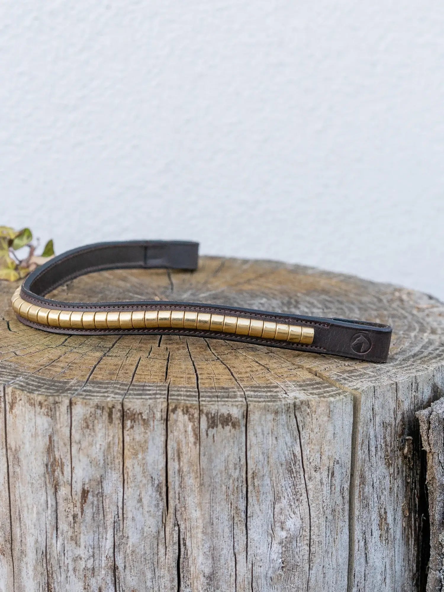 Jacson Cambridge Pannband - Brun