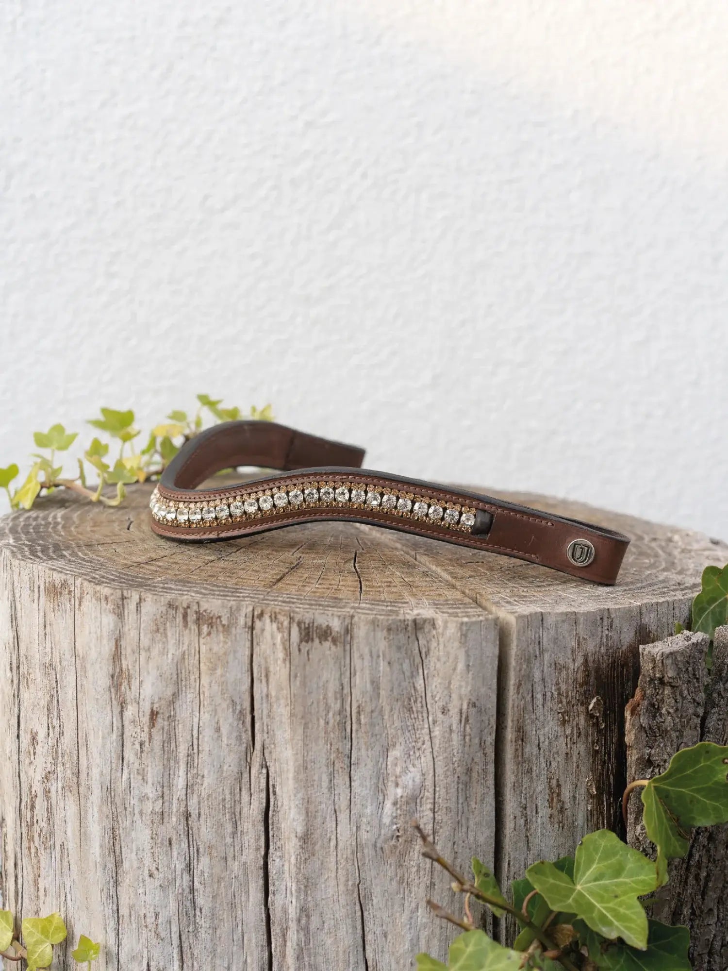 Jacson Cary Pannband - Brun