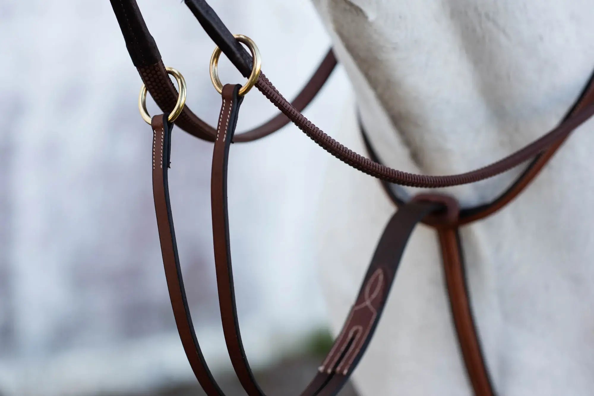 Jacson Cincinatti Martingal - Brun