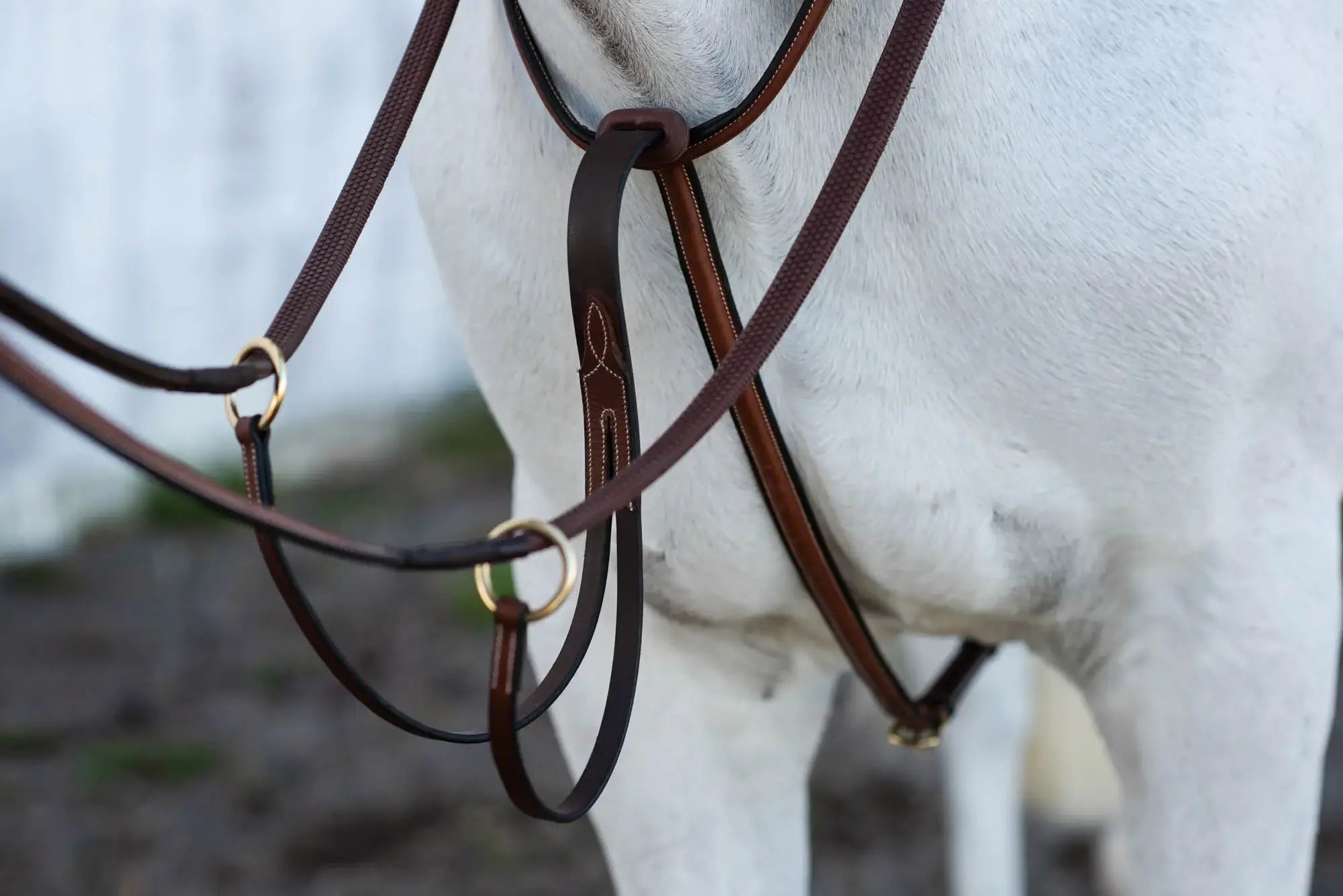 Jacson Cincinatti Martingal - Brun