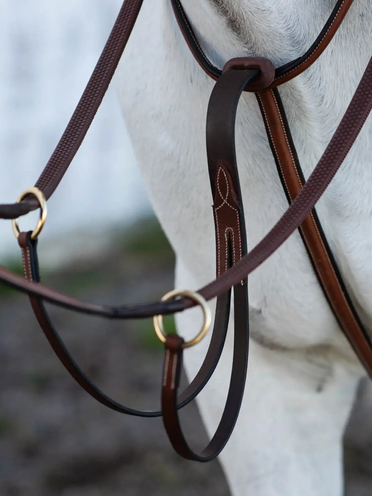 Jacson Cincinatti Martingal - Brun