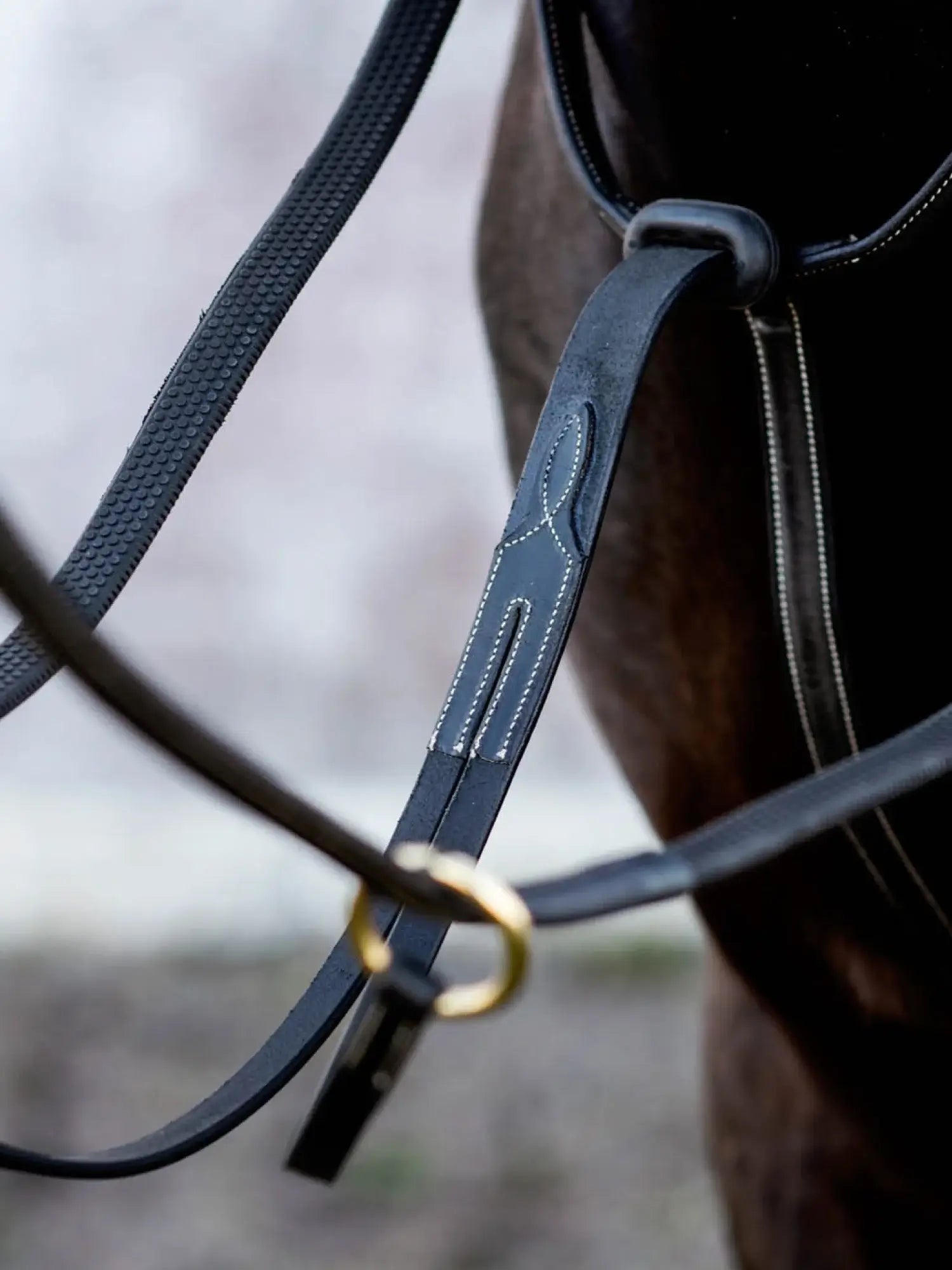 Jacson Cincinatti Martingal - Svart