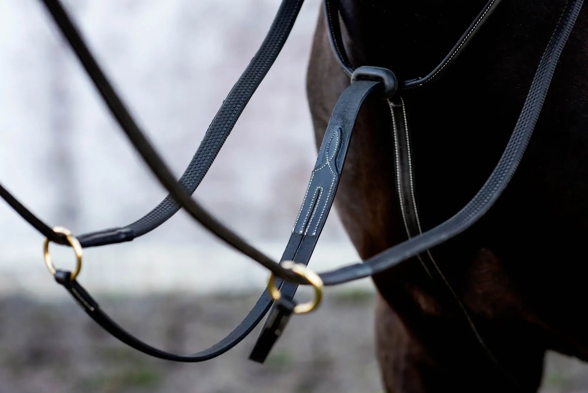 Jacson Cincinatti Martingal - Svart