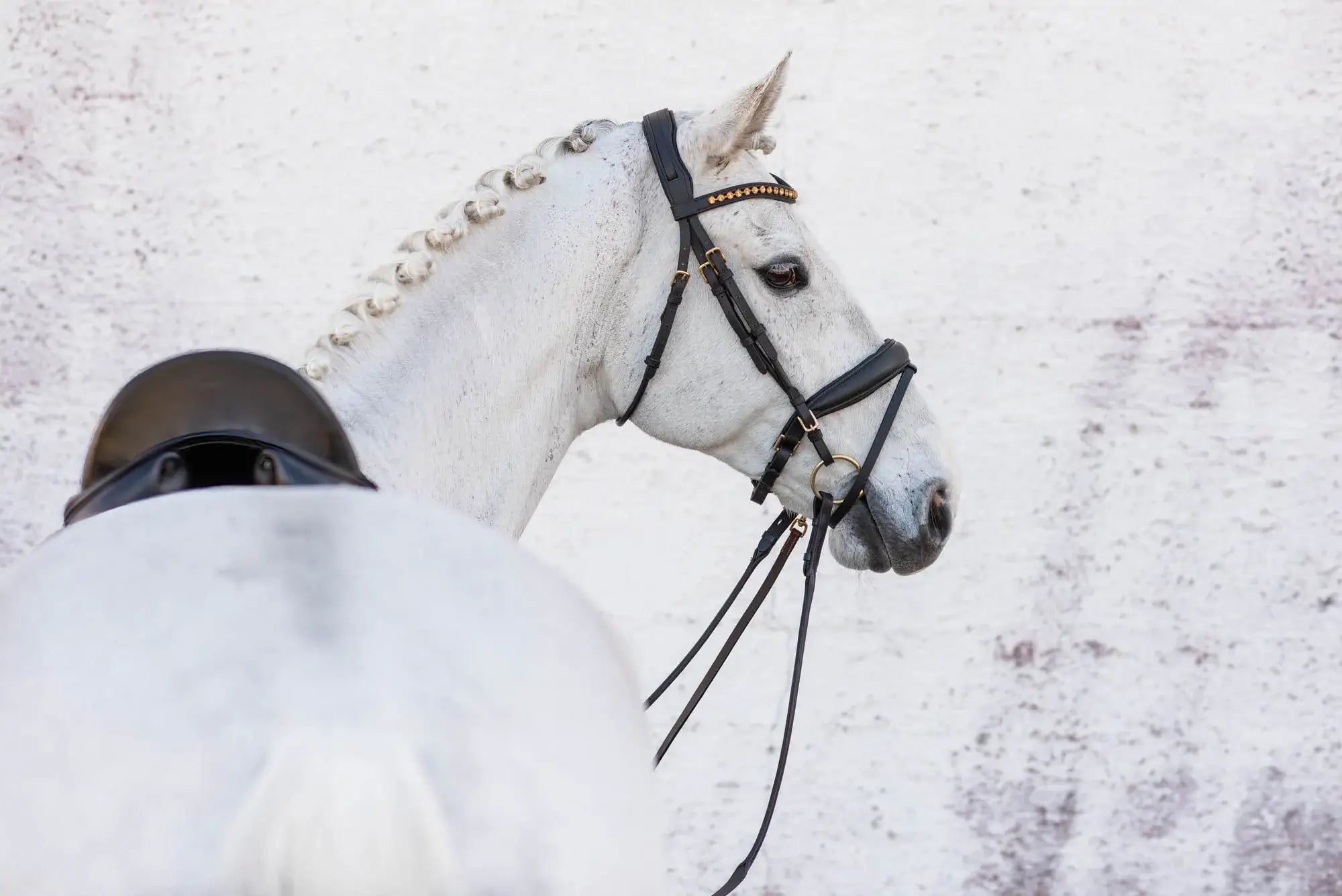 Jacson Cleveland Dressage Bridle - Svart