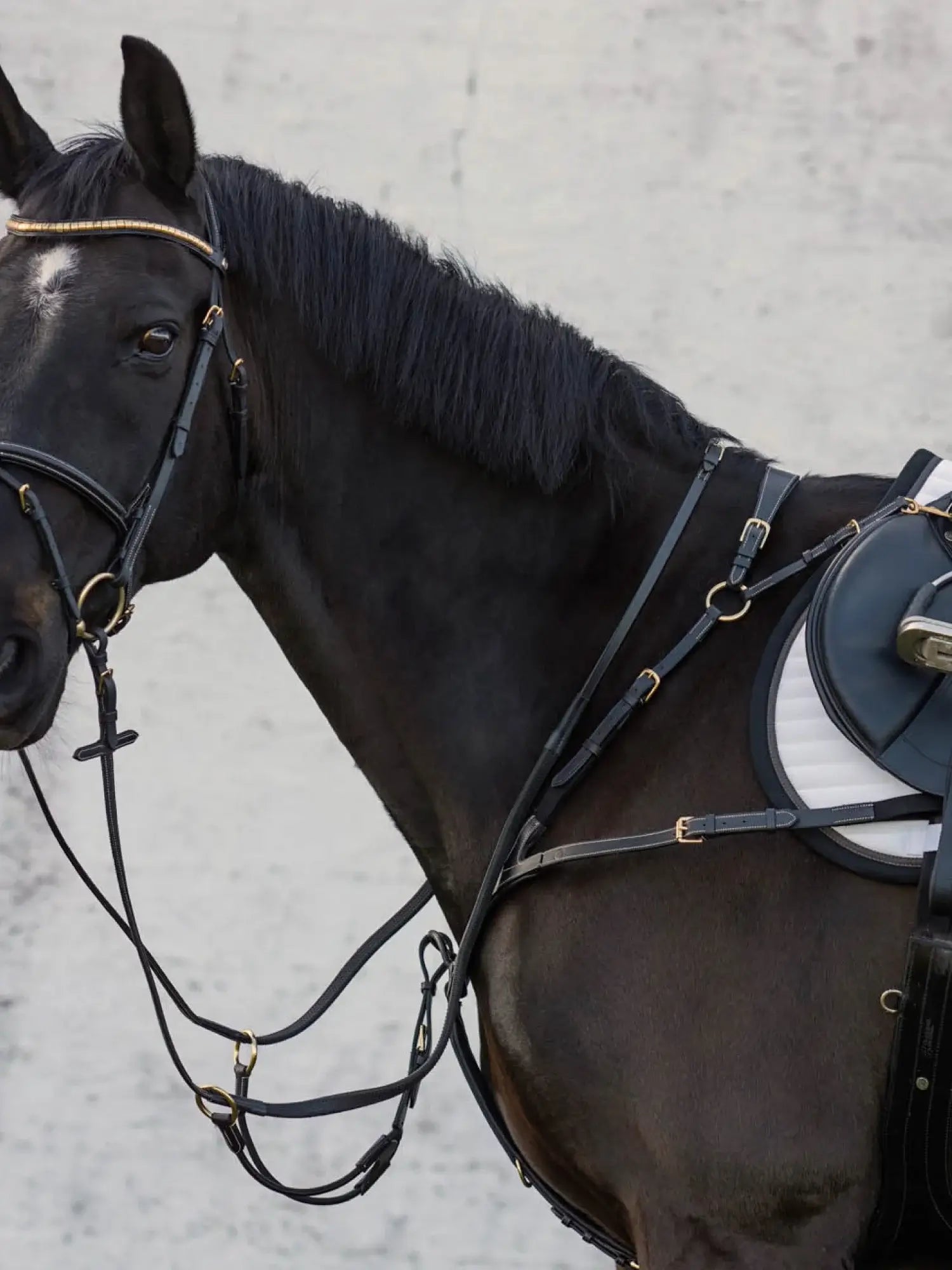 Jacson Corona Förbygel - Svart