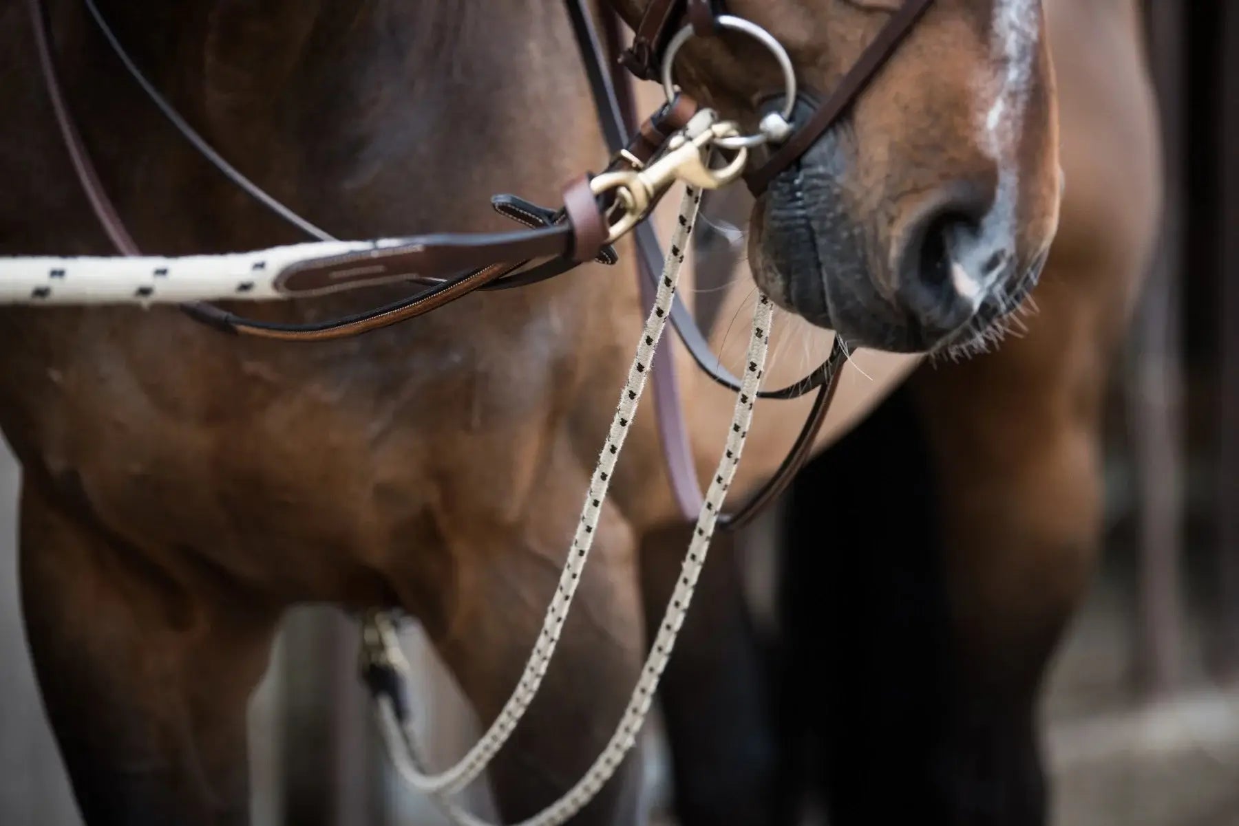 Jacson Gramantygel Rep - Brun