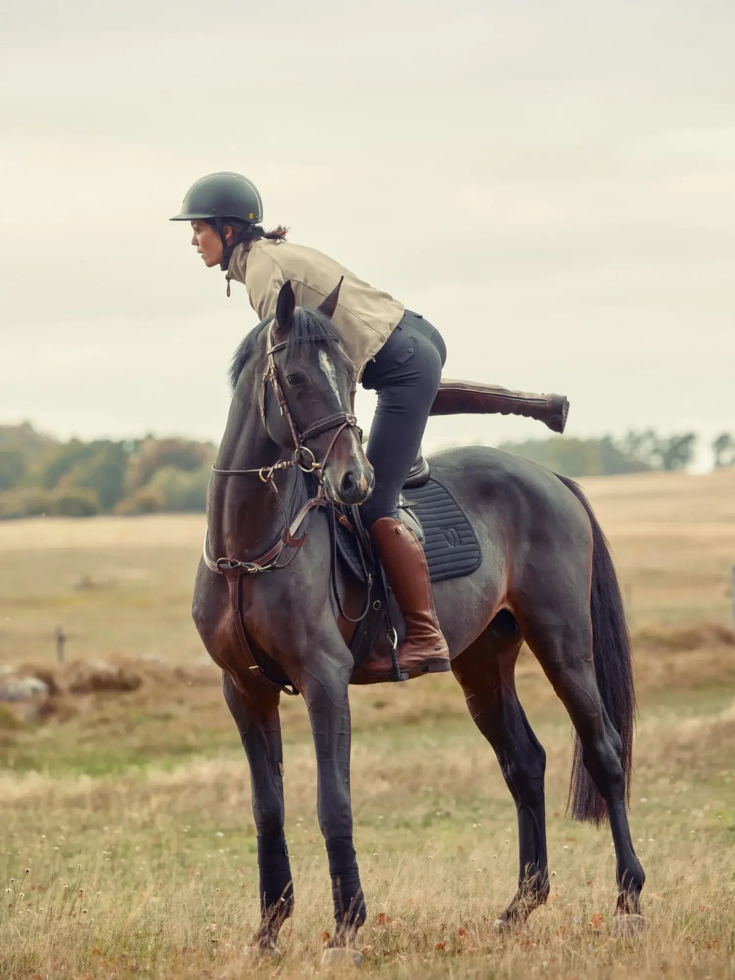 Jacson Olympia Förbygel - Brun