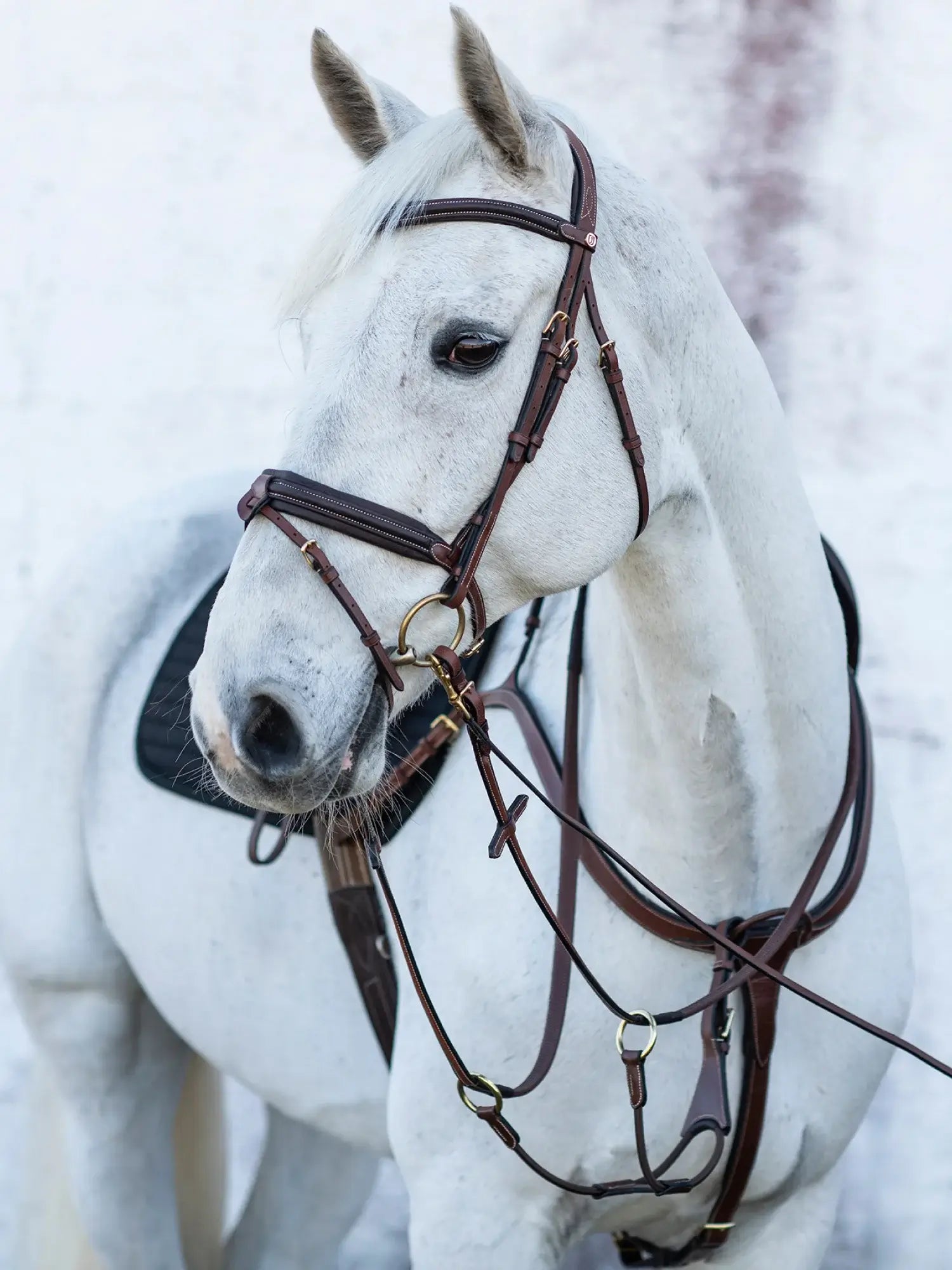 Jacson Olympia Förbygel - Brun
