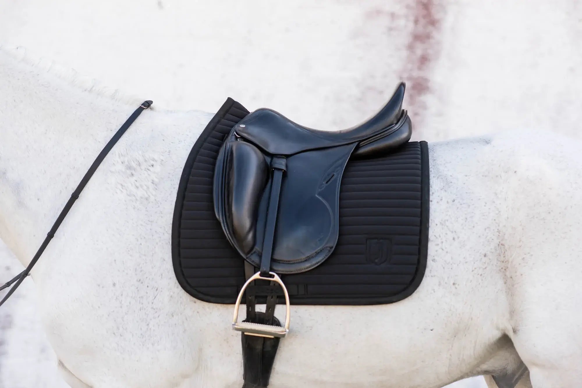 Jacson Karlskrona Schabra Full Dressyr - Svart