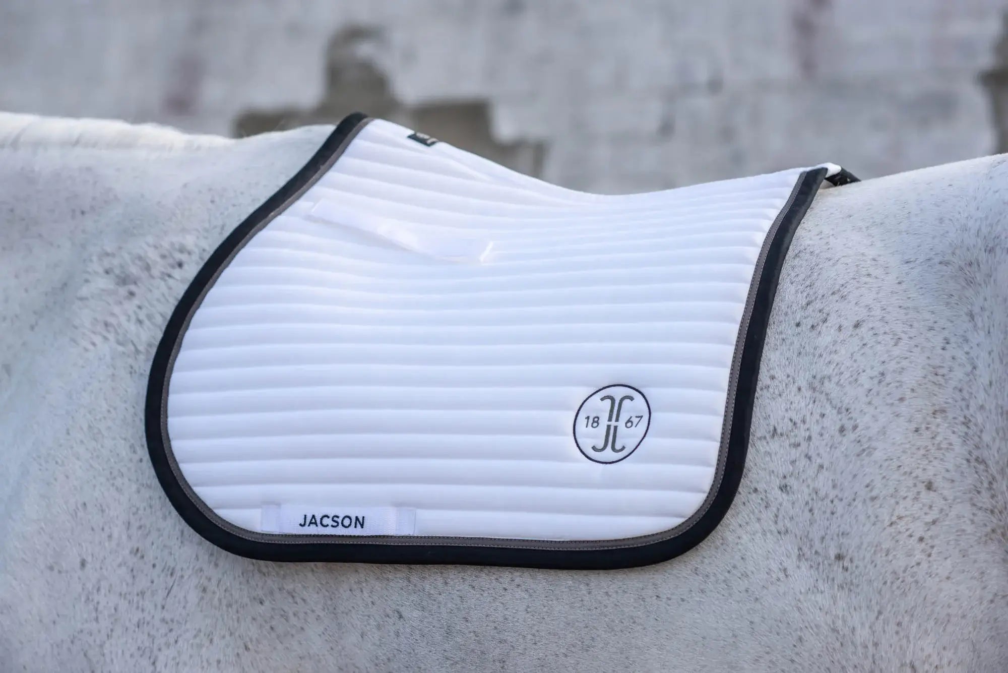 Jacson Karlskrona Schabrak Full Allround - Vit/svart