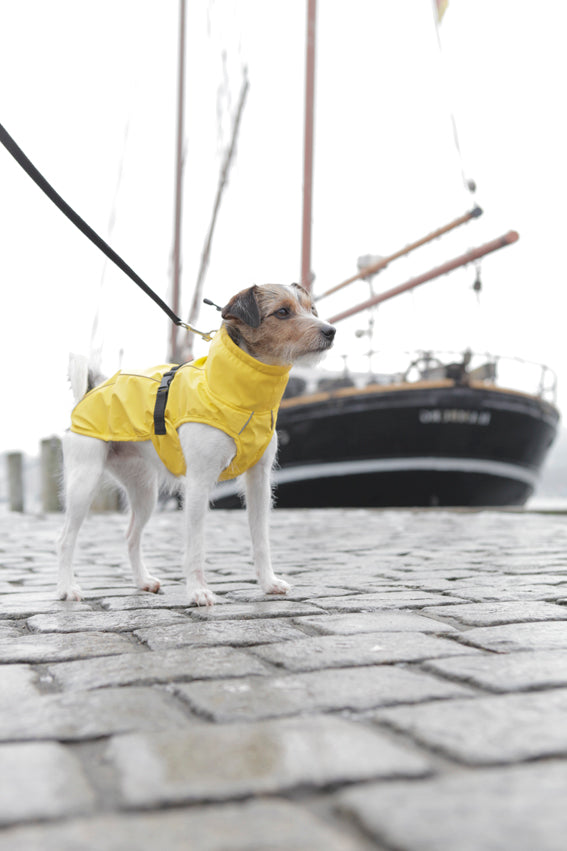 Trixie Vimy regntäcke - Gul