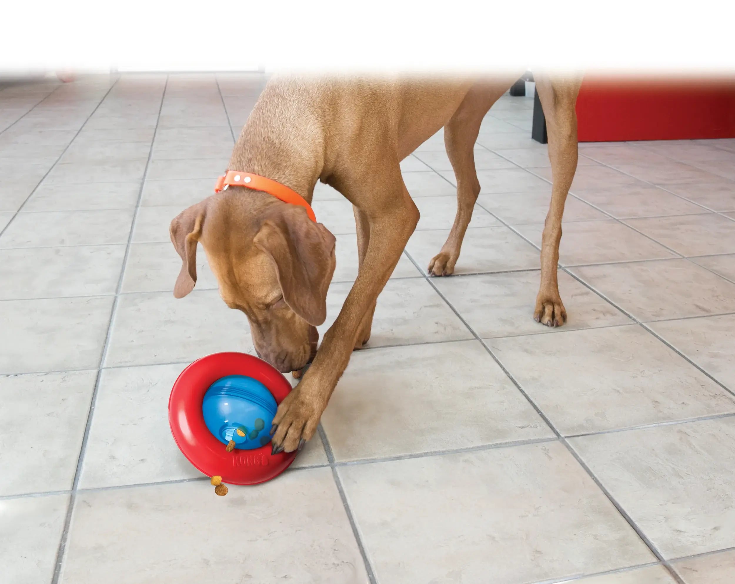 Kong Gyro Aktiveringsleksak