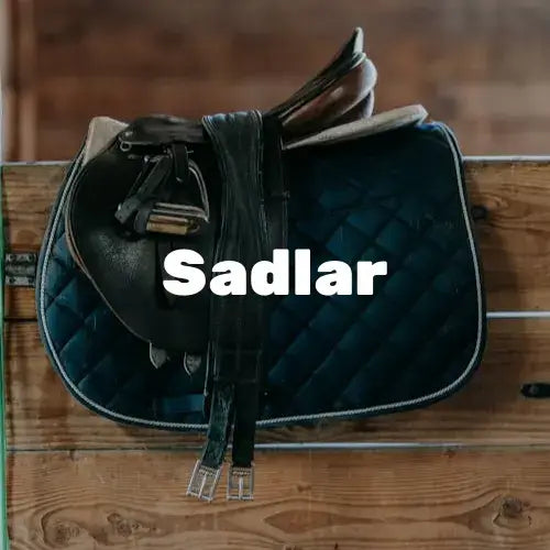 sadlar till alla hästar och perfekta för ryttaren och hästen