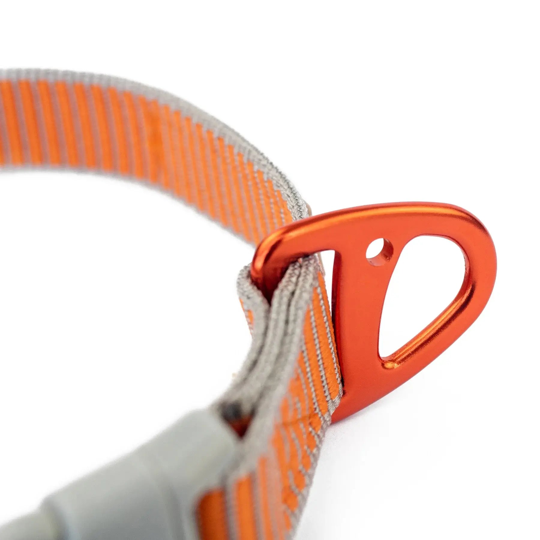 Siccaro Sealine Ställbart Hundhalsband