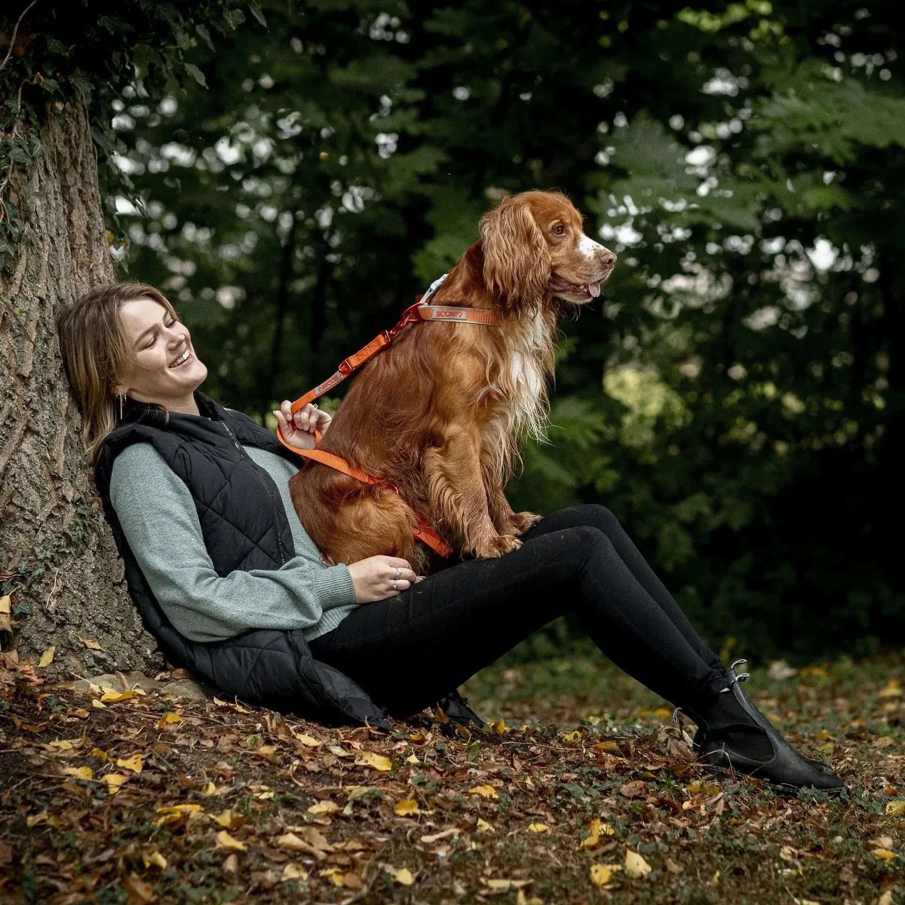 Siccaro Sealine Multikoppel 2m Orange