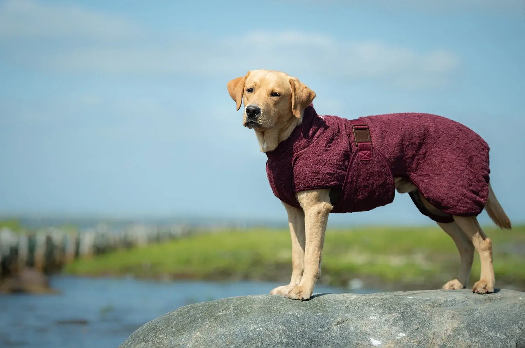 Siccaro Smart Torktäcke 35cm