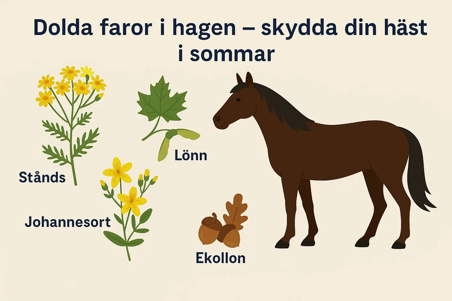 Farliga växter för hästen – detta måste du veta