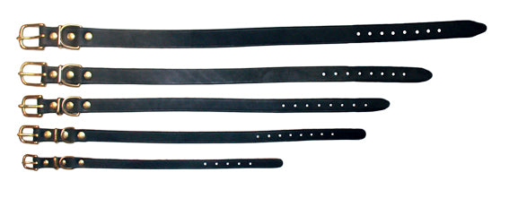 Petnation Halsband råläder - Svart/Mässing