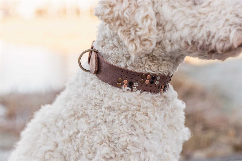 Trixie Rustic råläder halsband Nitat - Mörkbrun