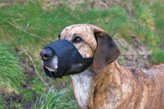Trixie Munkorg nylon med nät - Svart