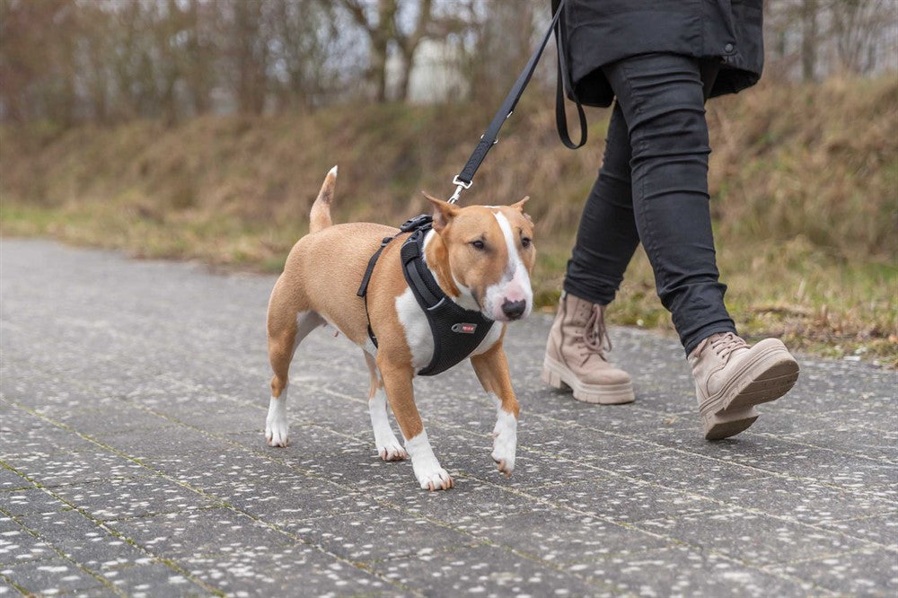 Trixie Premium FlexMesh sele bred - Svart