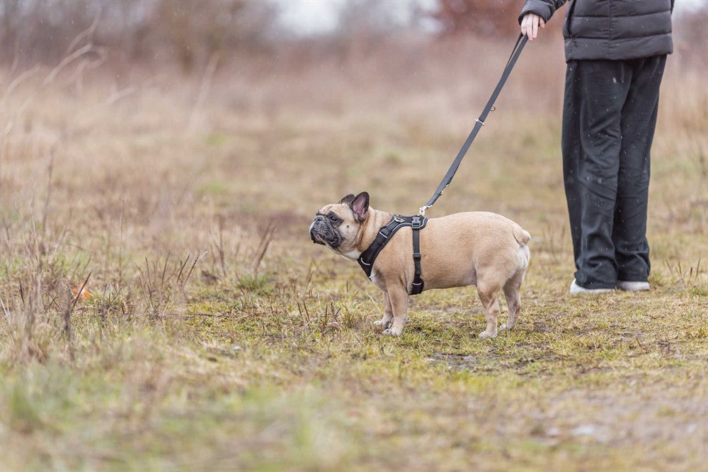 Trixie Premium FlexMesh sele bred - Svart
