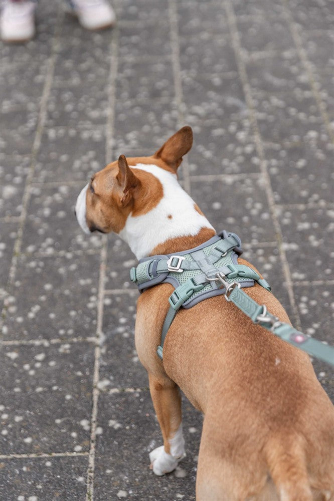 Trixie Premium FlexMesh sele bred - Sage