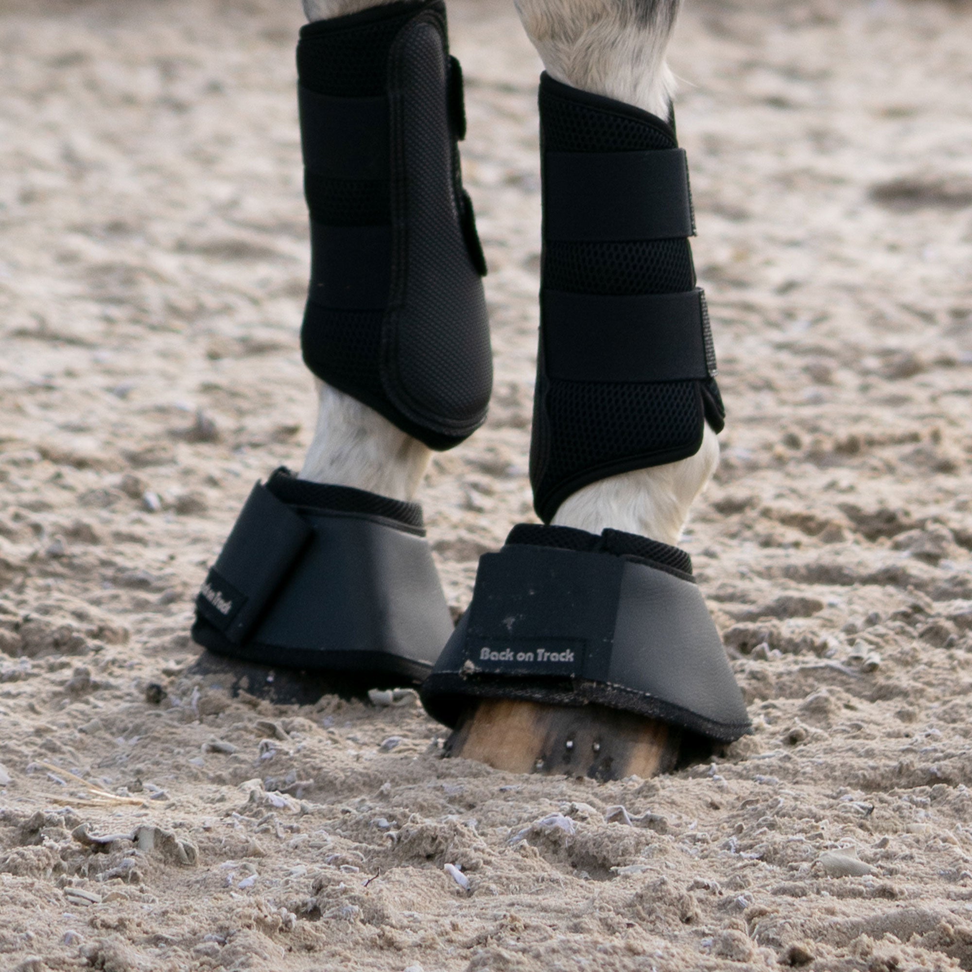 Back on Track Hästboots – Svart