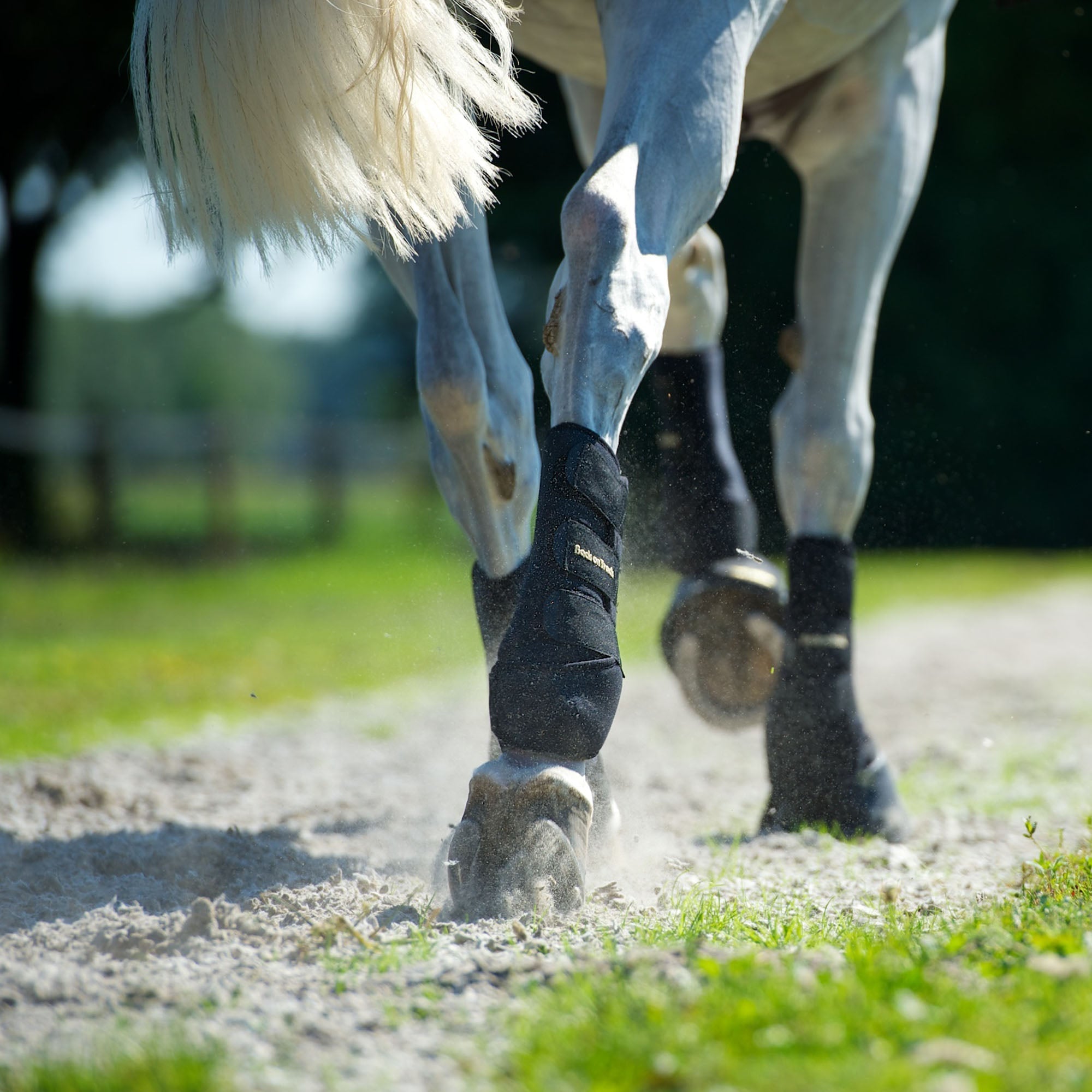 Back on Track Arbetsdamasker Fram – Svart