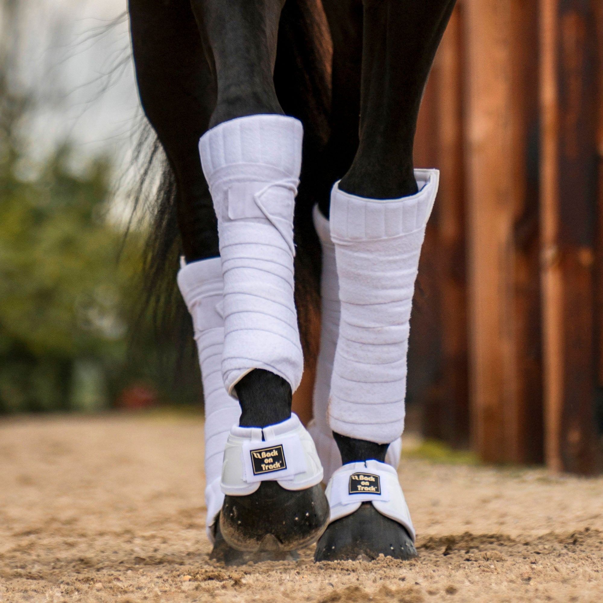 Back on Track Bell Boots Performance – Vit