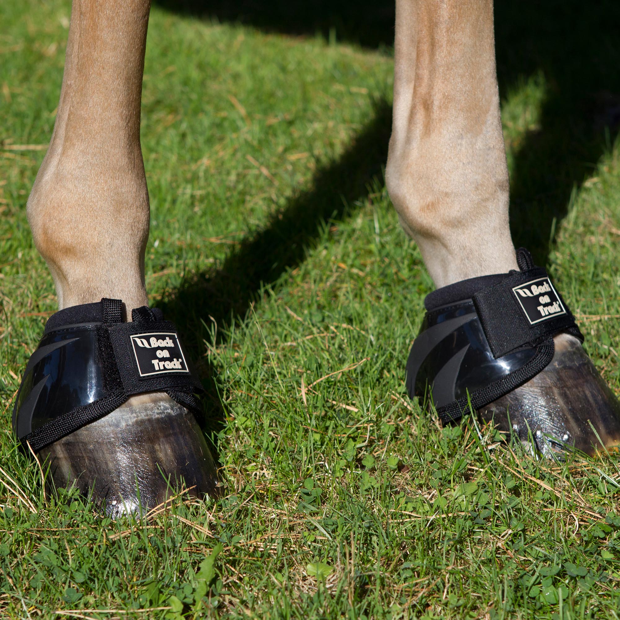 Back on Track Bell Boots Performance – Svart