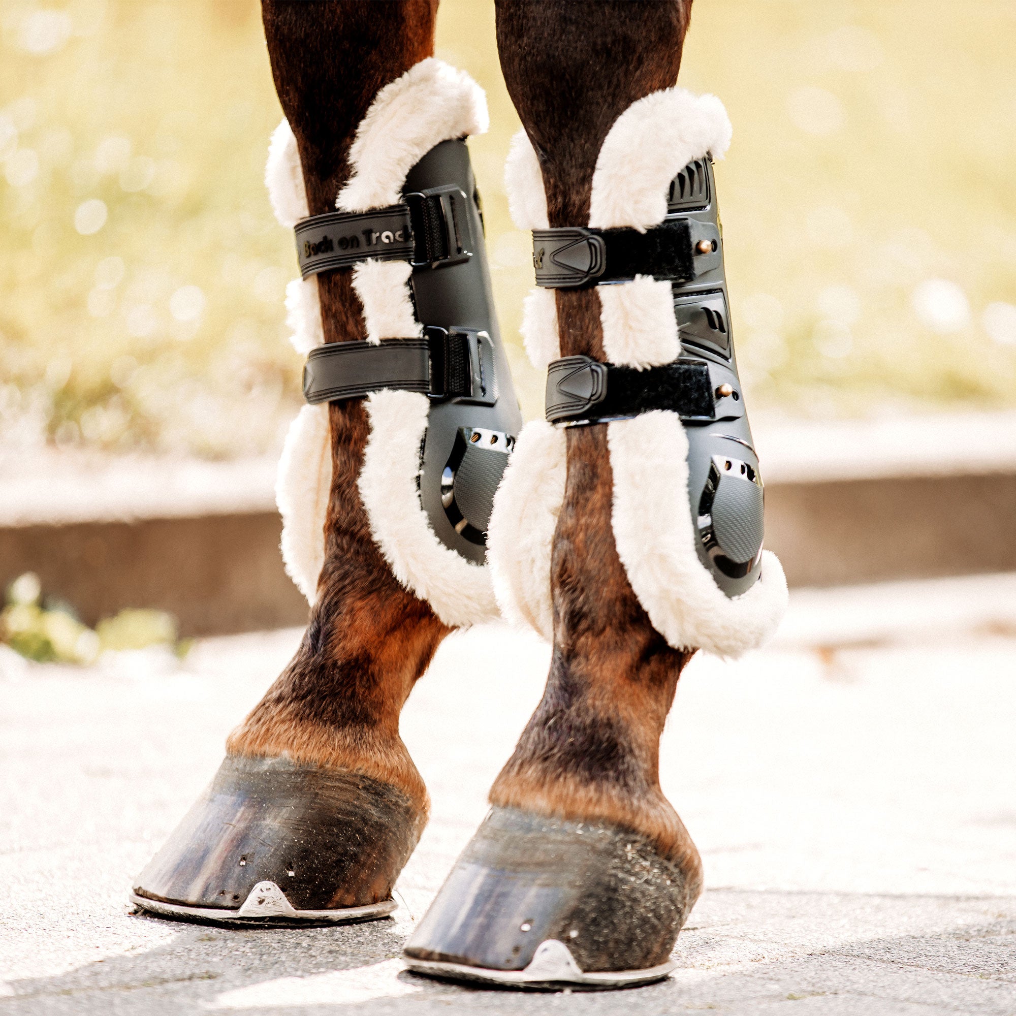 Back on Track Airflow Fur Senskydd – Svart