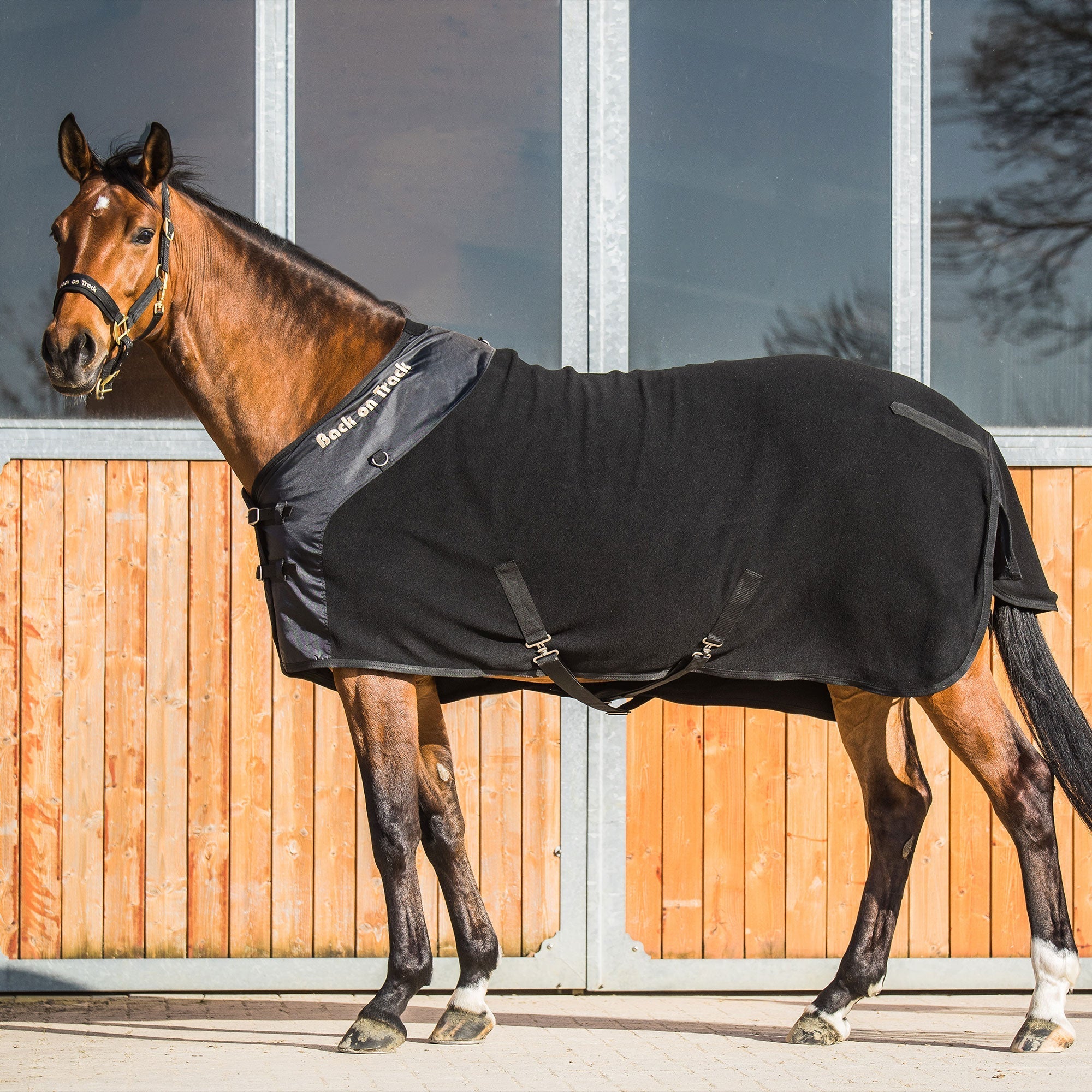 Back on Track Hästtäcke Fleece med D-ringar – Svart