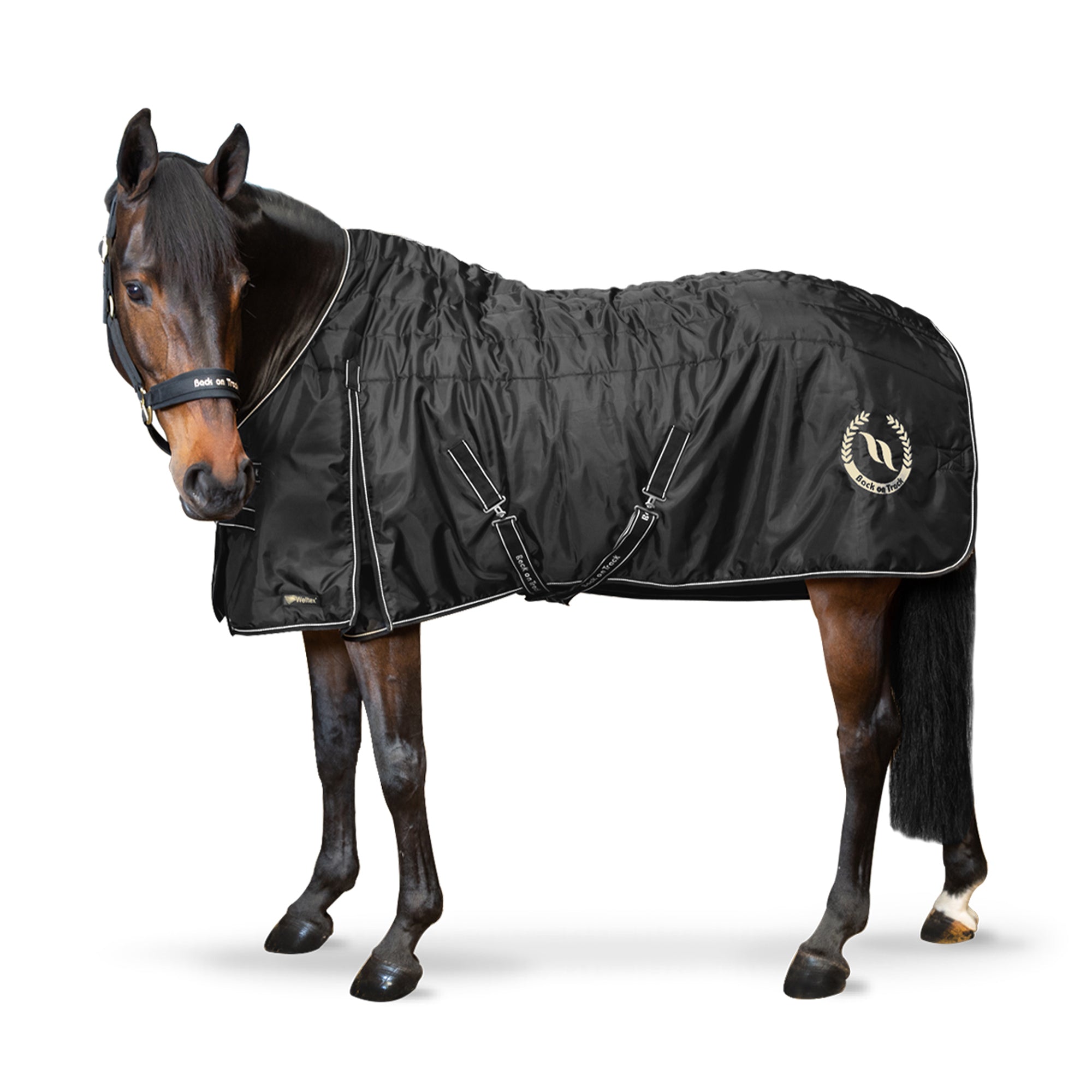 Back on Track Millie Stalltäcke 200g – Svart