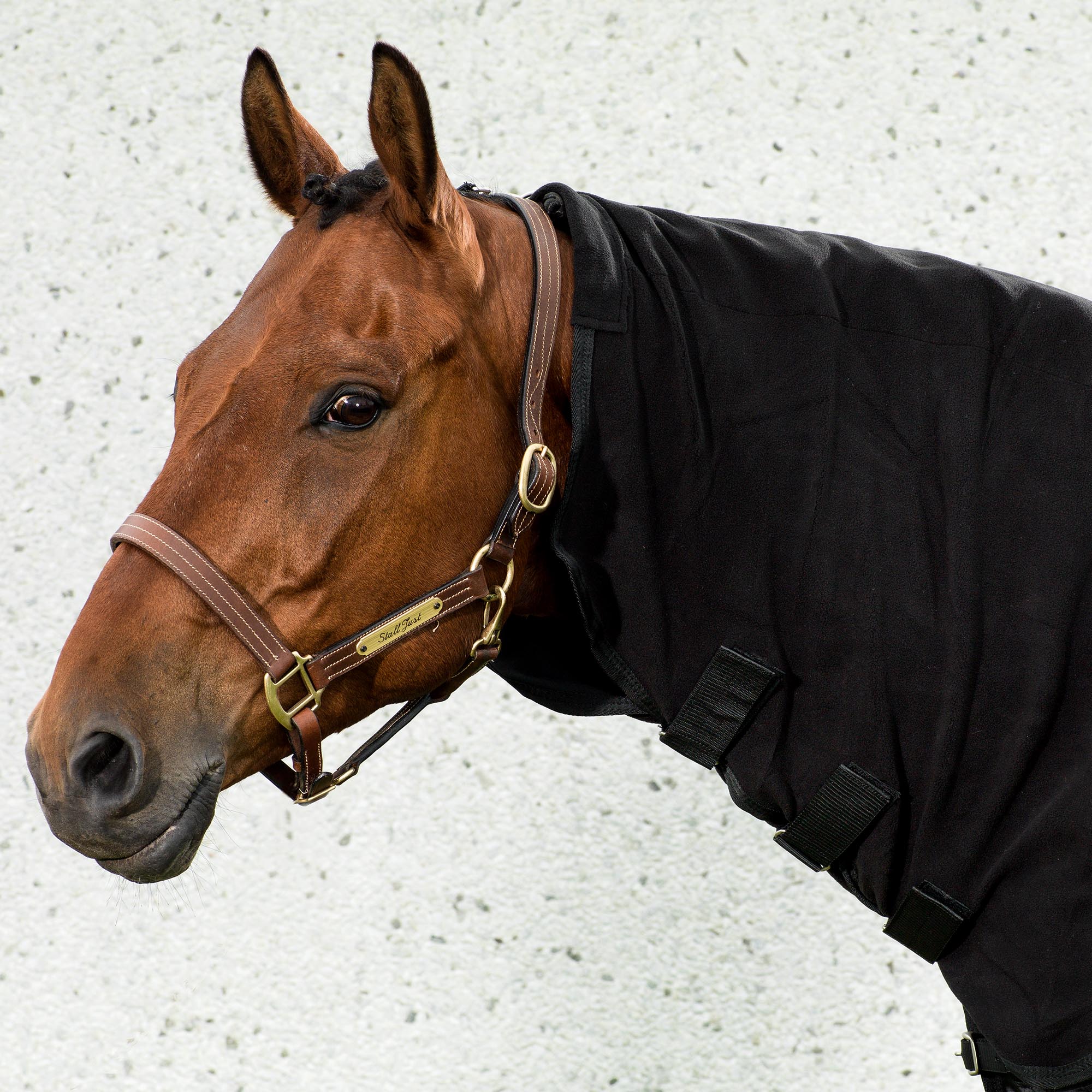 Back on Track Halsdel till Hästtäcke Fleece – Svart
