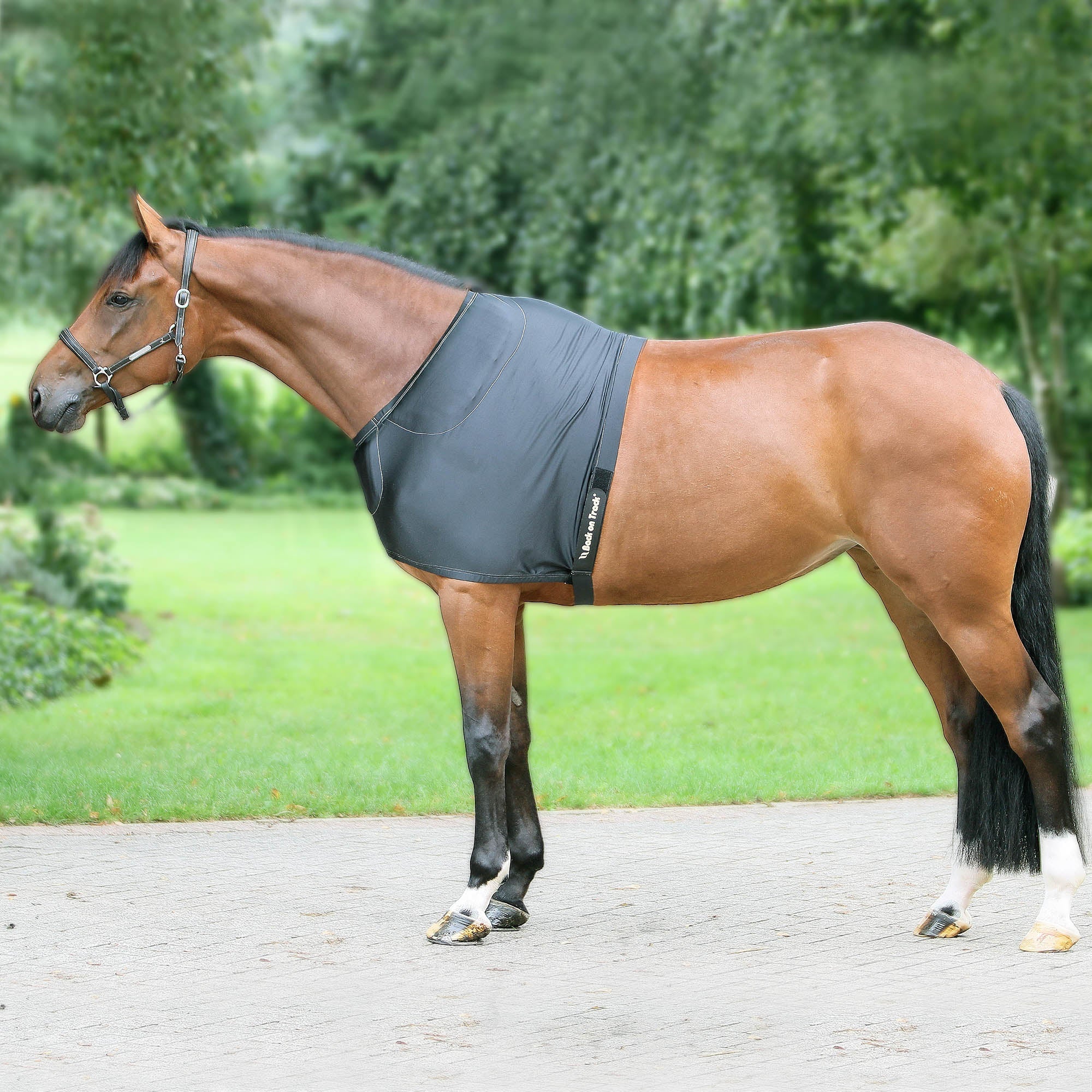Back on Track Bogskydd – Svart