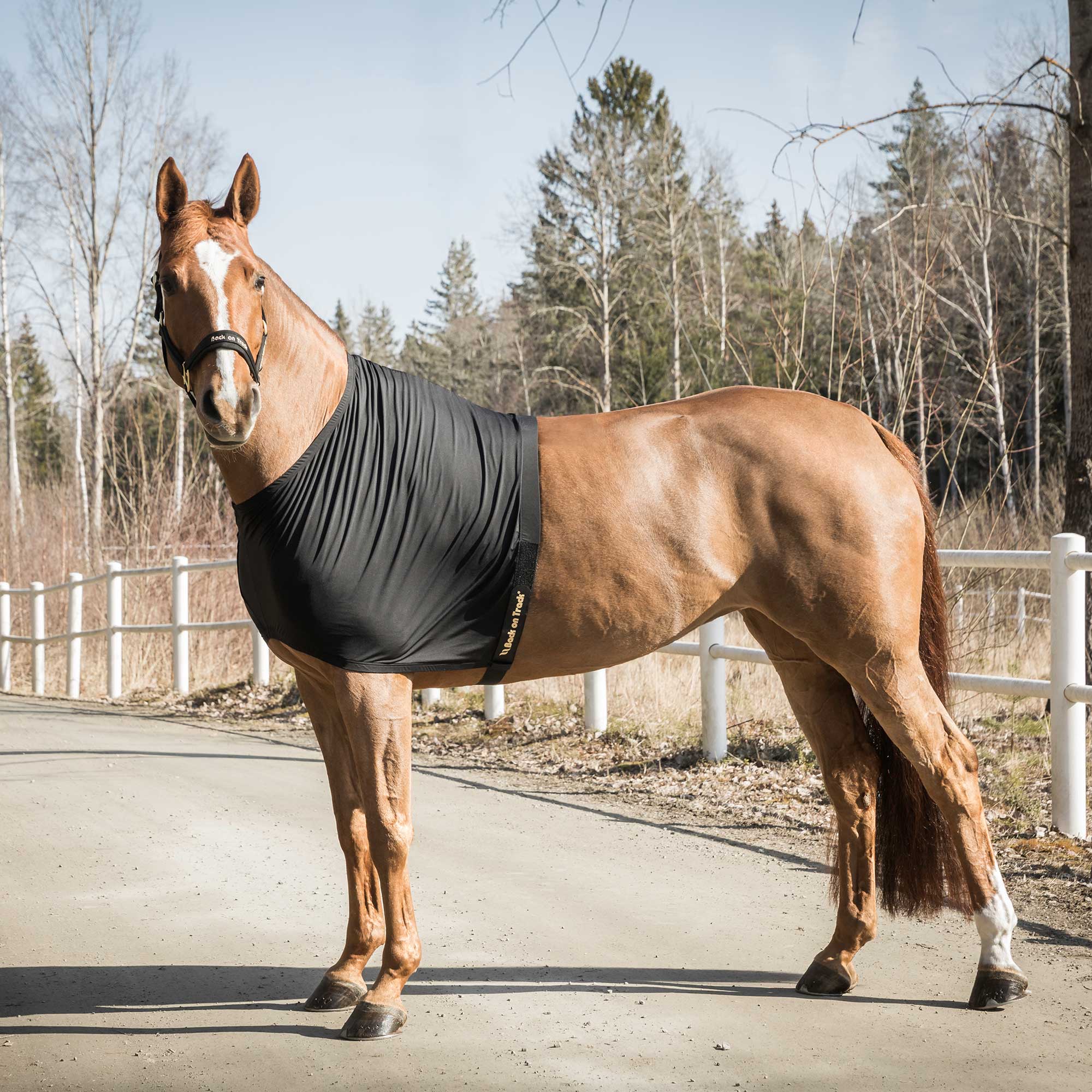 Back on Track Bogskydd Light – Svart