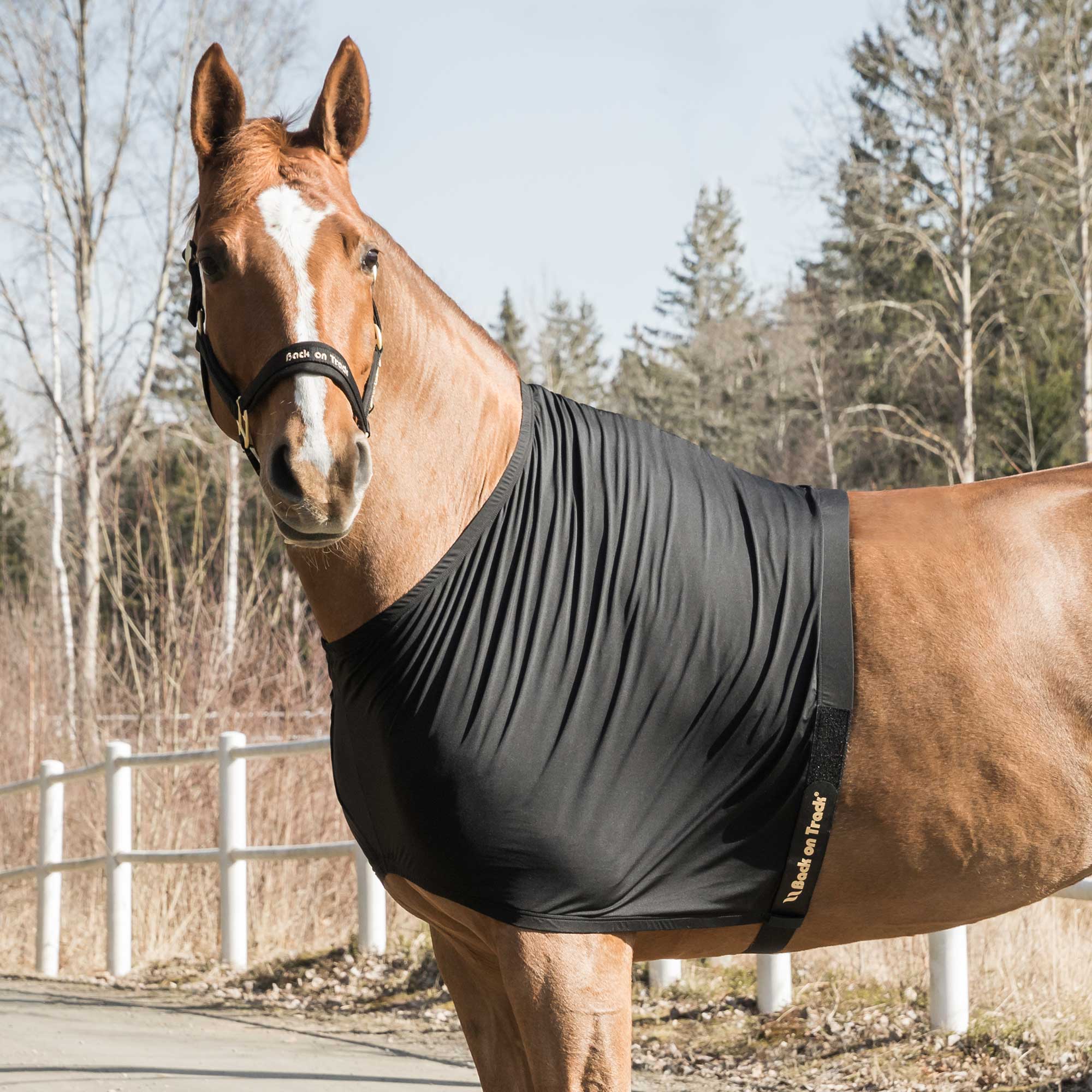 Back on Track Bogskydd Light – Svart