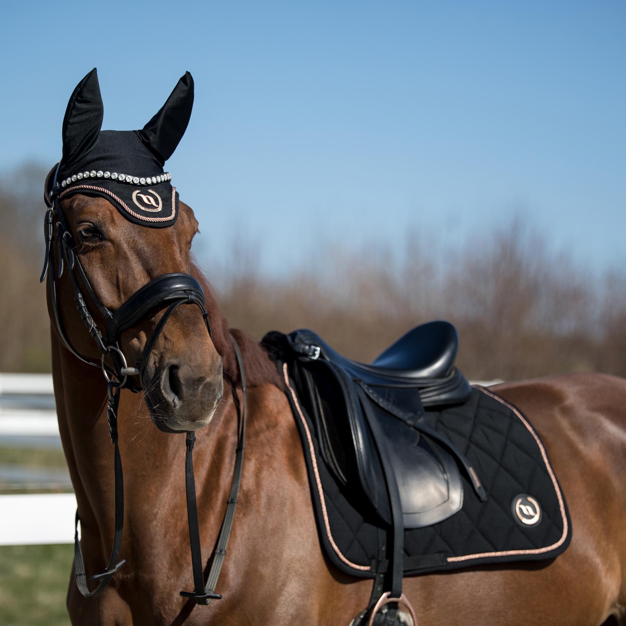 Back on Track Haze Collection Hästhuva – Svart