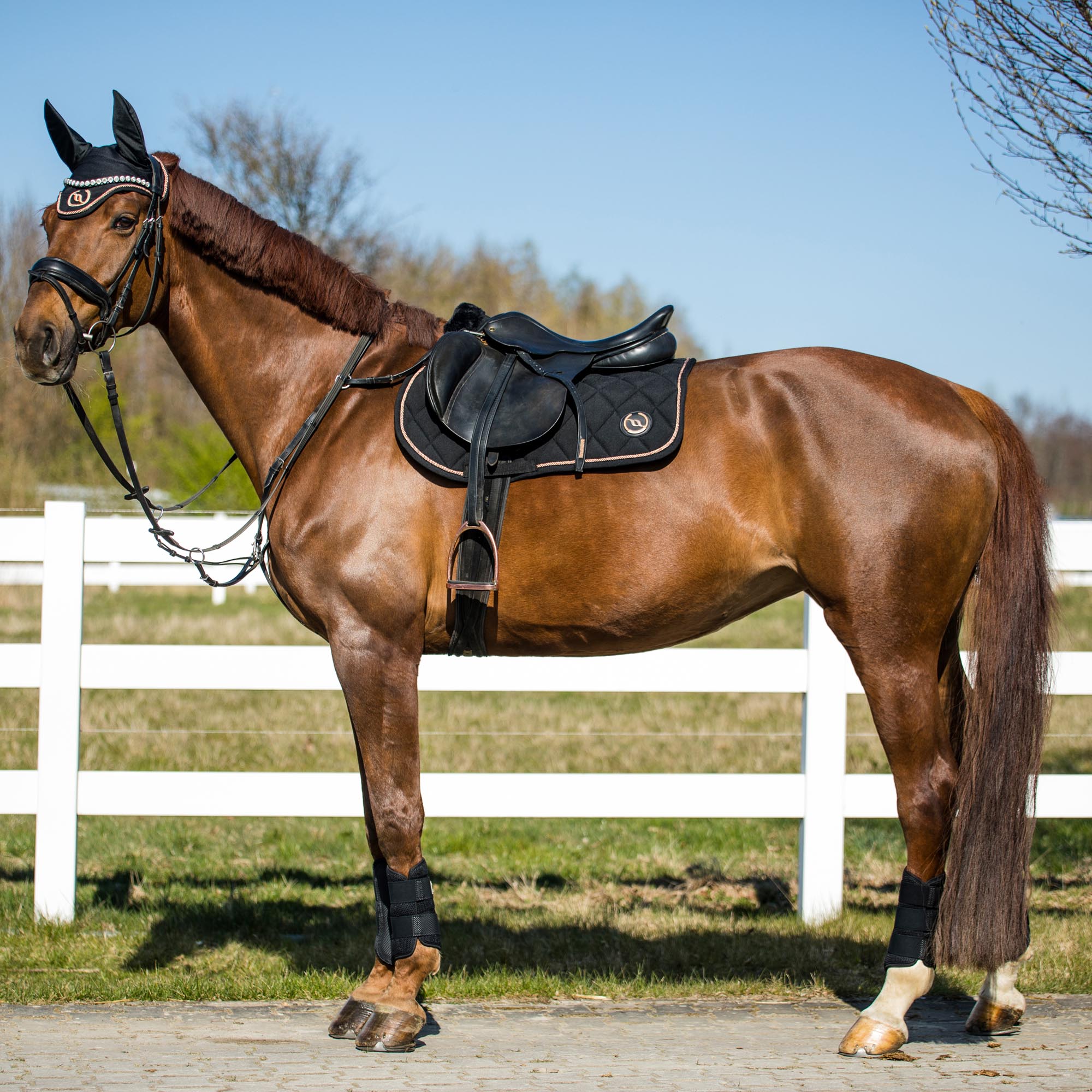 Back on Track Haze Collection Schabrak Hopp – Svart