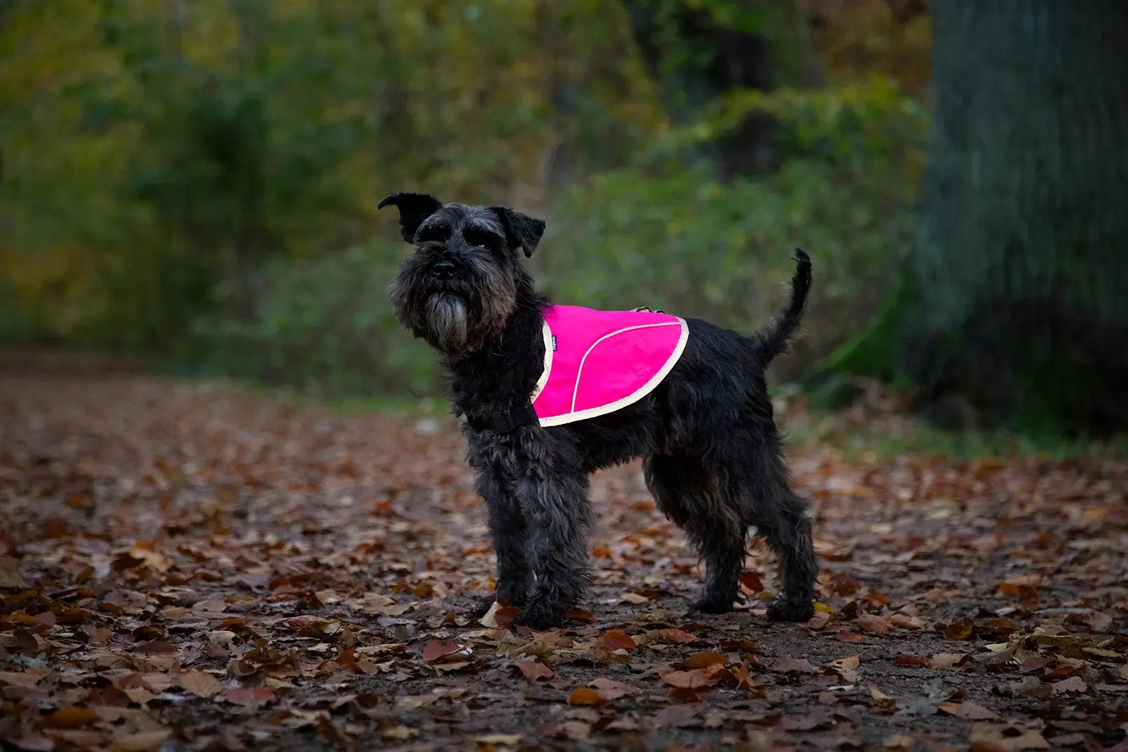 Dogman Rex Reflexväst - Rosa