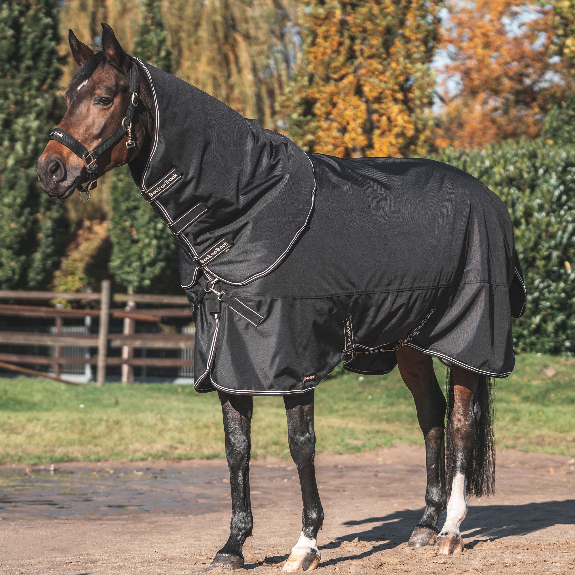 Back on Track Obsidian Utetäcke 0 g med Halsdel – Svart