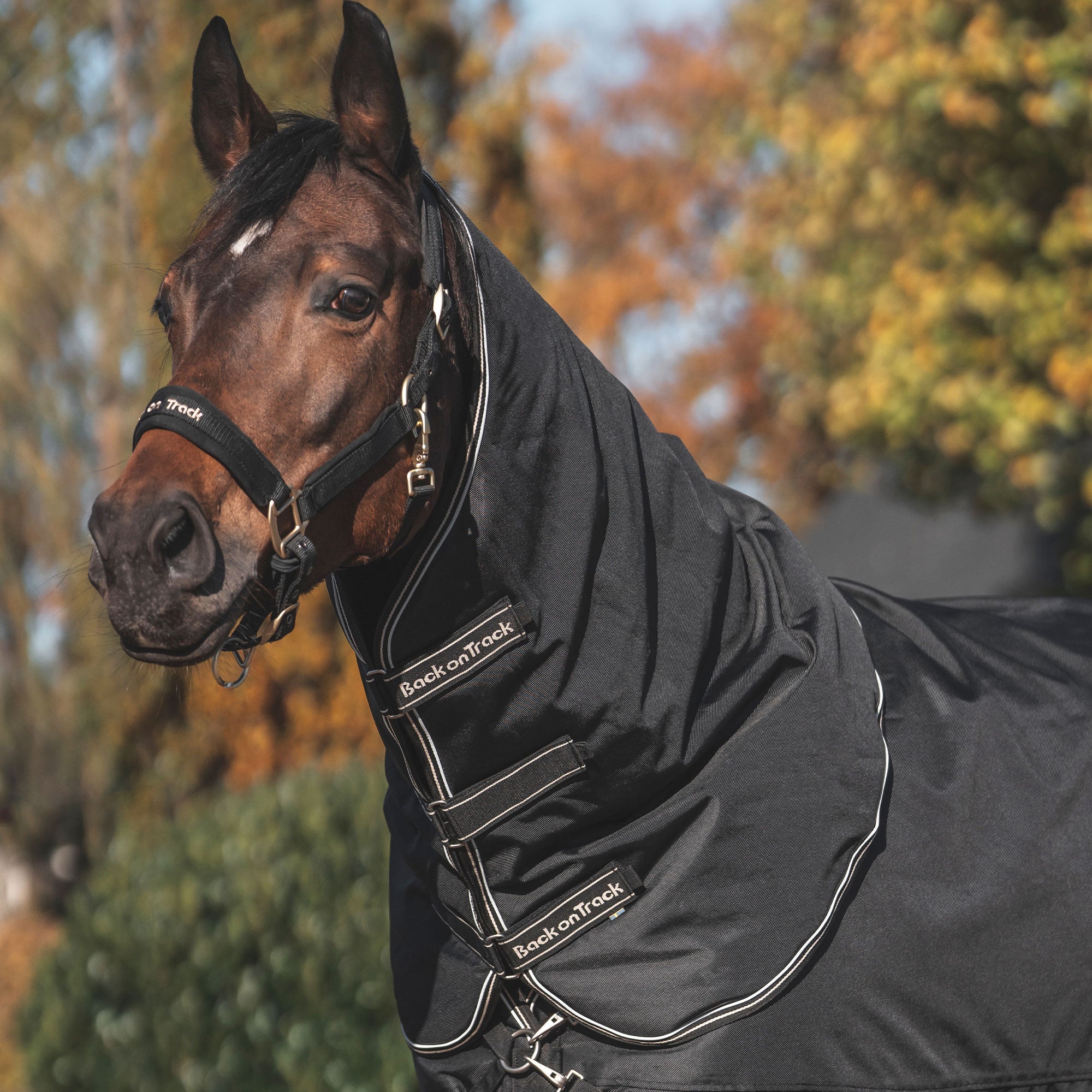 Back on Track Obsidian Utetäcke 0 g med Halsdel – Svart