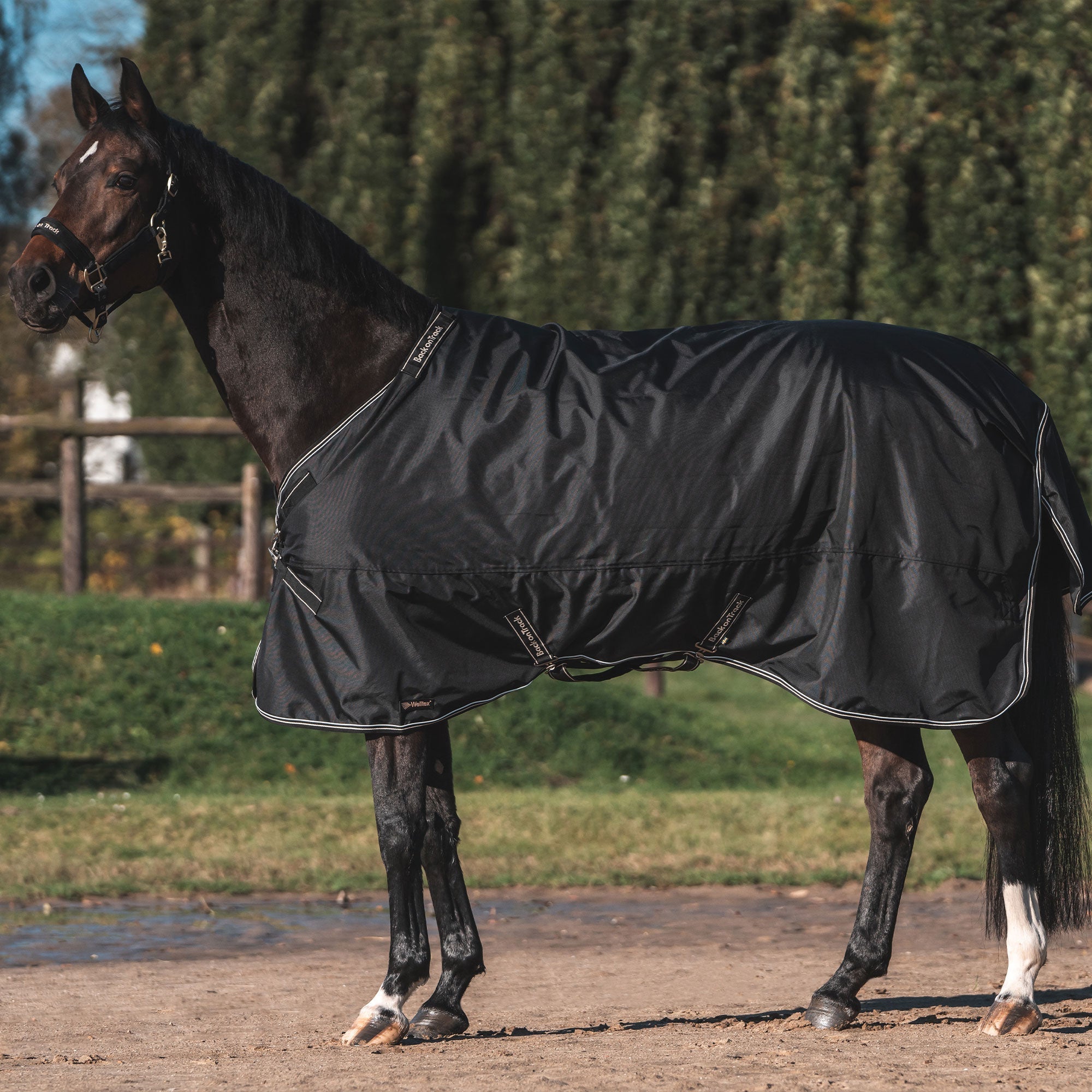 Back on Track Obsidian Utetäcke 0 g med Halsdel – Svart