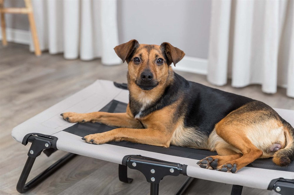 Trixie Campingsäng för hund - Grå/svart